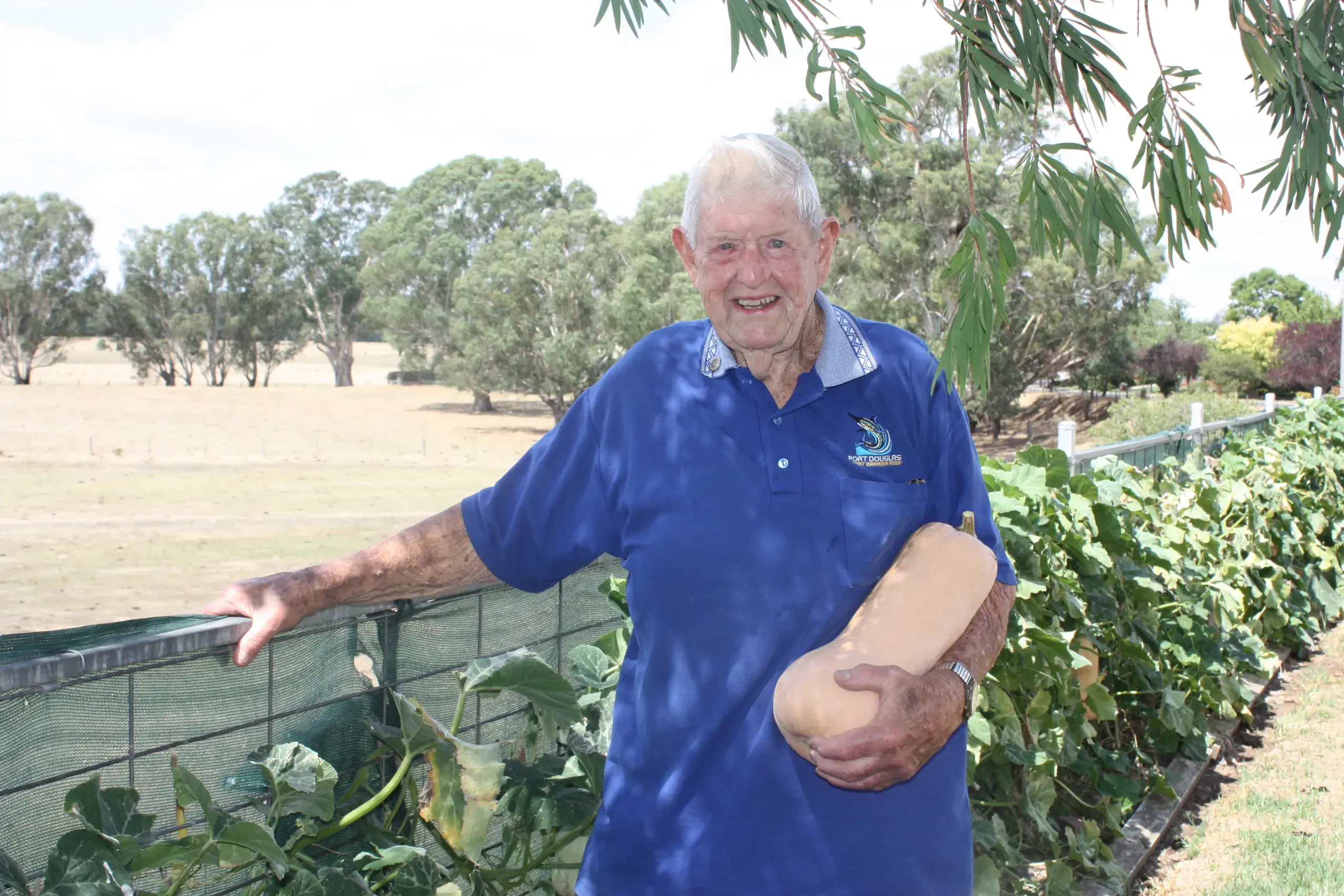 <p>HARVEST AGAINST THE ODDS: Local green thumb, Bernie Holmes, has managed to cultivate a variety of produce despite challenging season. PHOTOS: Jordan Duursma </p>\\n