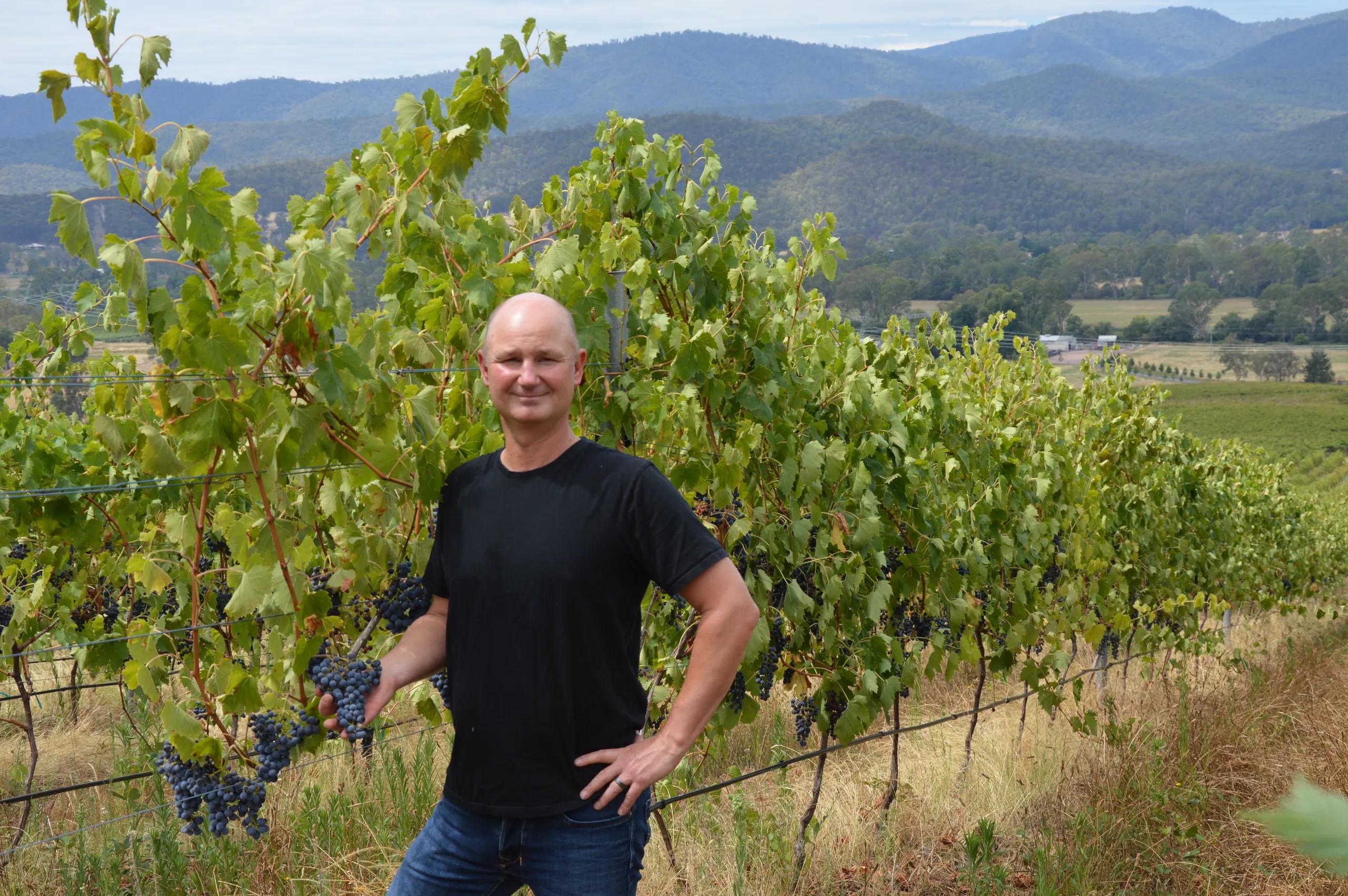 Always prepared for unpredictable weather at Pizzini Wines