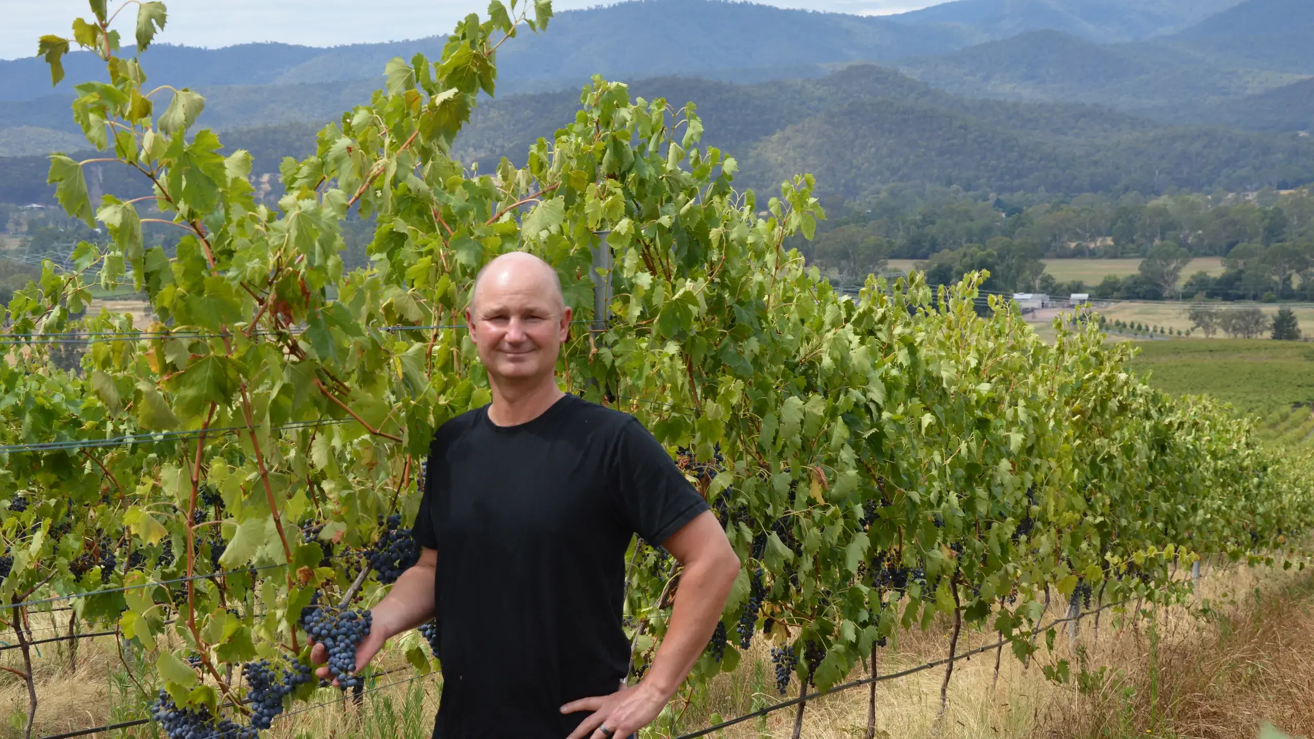 Always prepared for unpredictable weather at Pizzini Wines