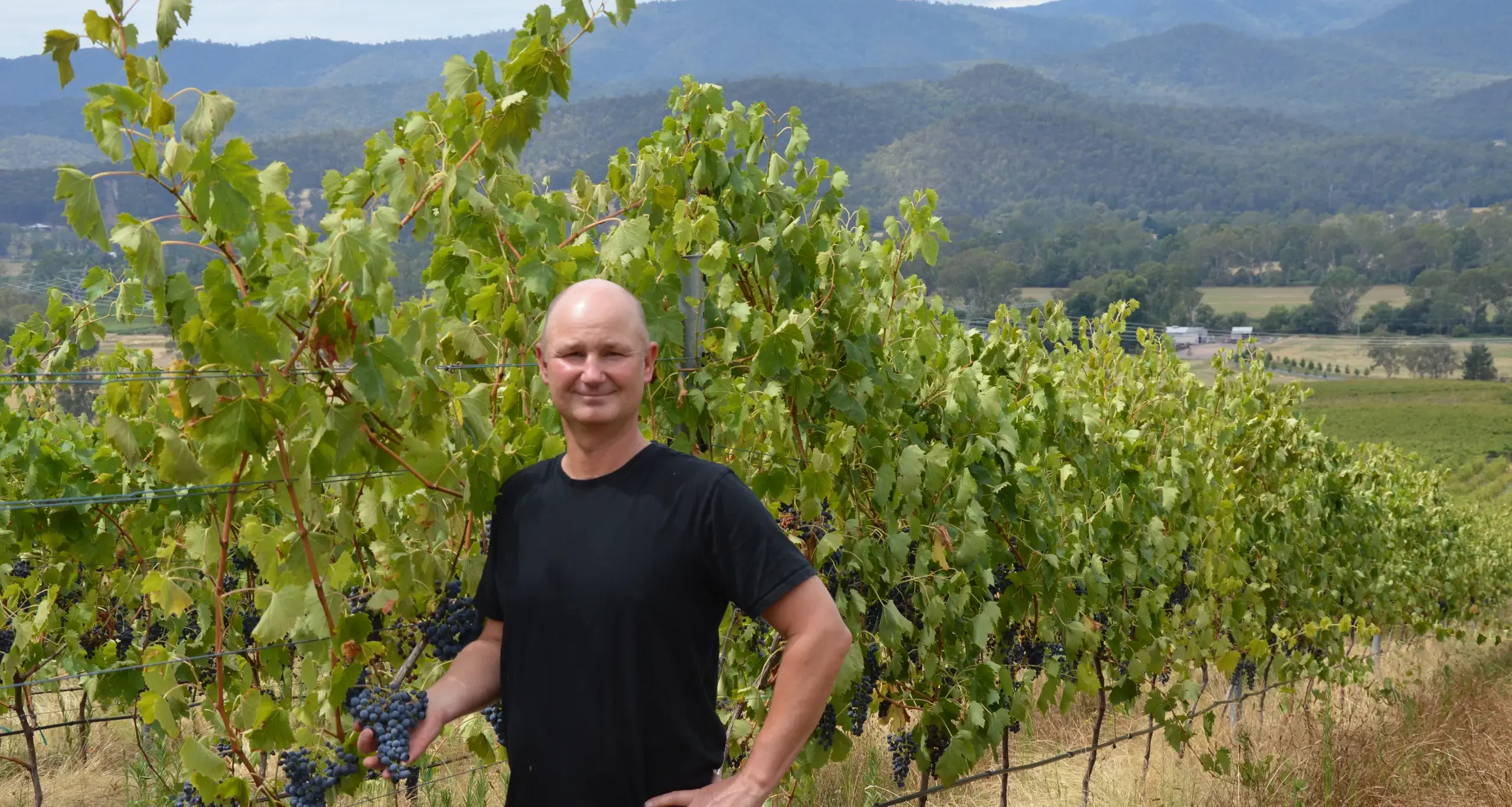 Always prepared for unpredictable weather at Pizzini Wines