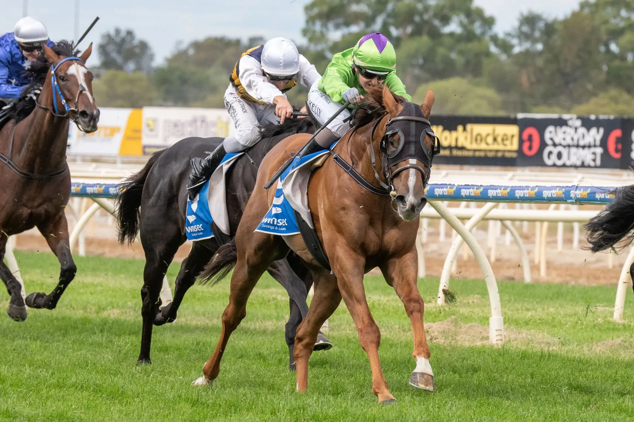 <p>STORMING HOME: New York Hurricane came from the back to win the Winsec Savings and Loans Wangaratta Cup. PHOTO: Racing Photos</p>\\n