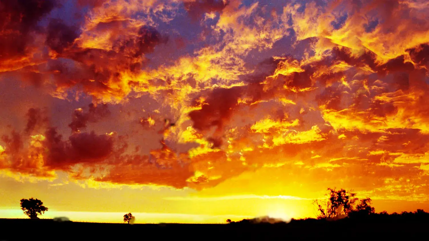 Drier, warmer than normal summer