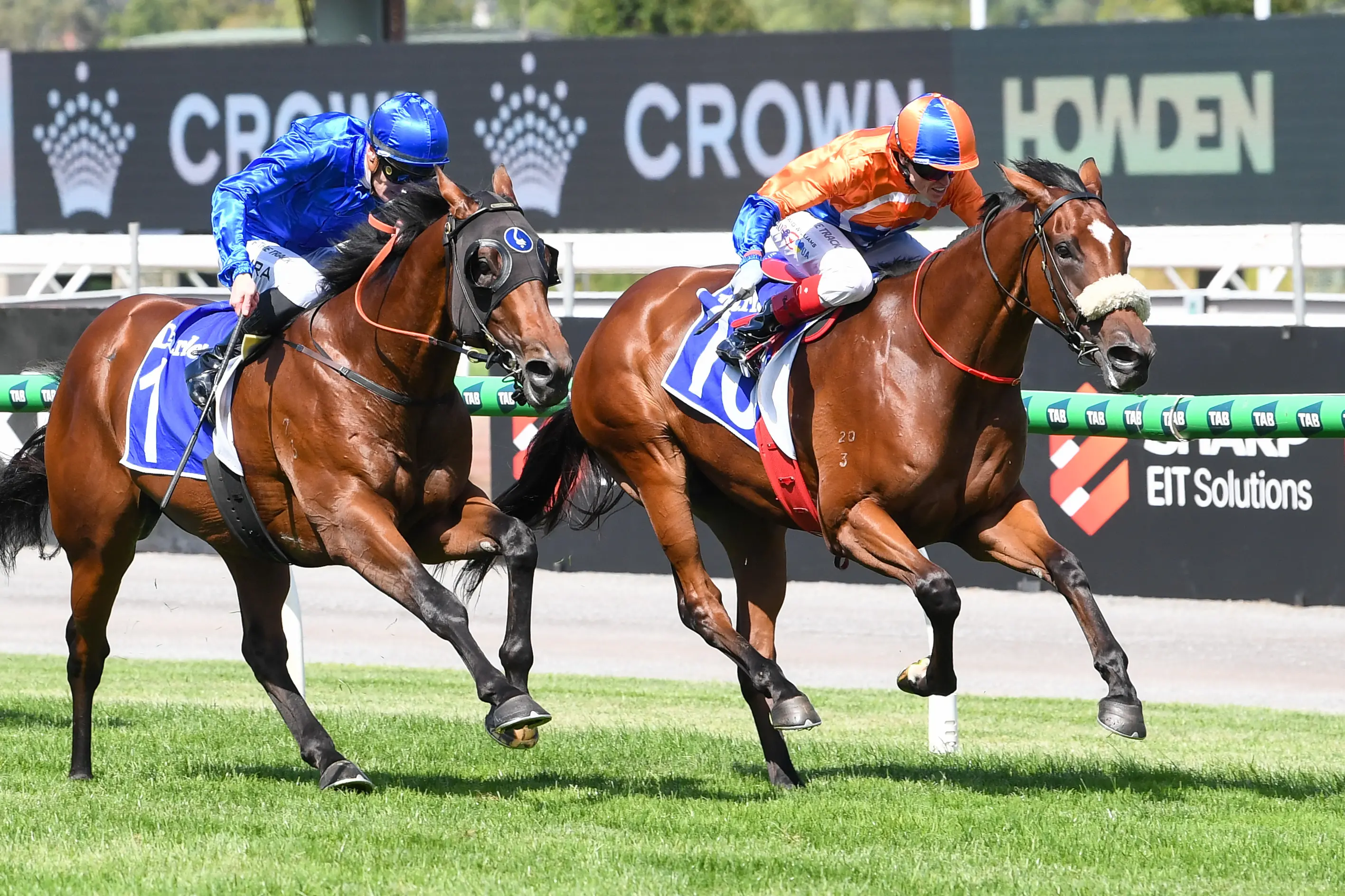 <p>PLENTY OF HEART: Locally-trained Grinzinger Heart (right) led the whole way to claim victory in the $300,000 1400m Darley Sires\\' Produce Stakes at Flemington over the weekend. PHOTO: Racing Photos</p>\\n