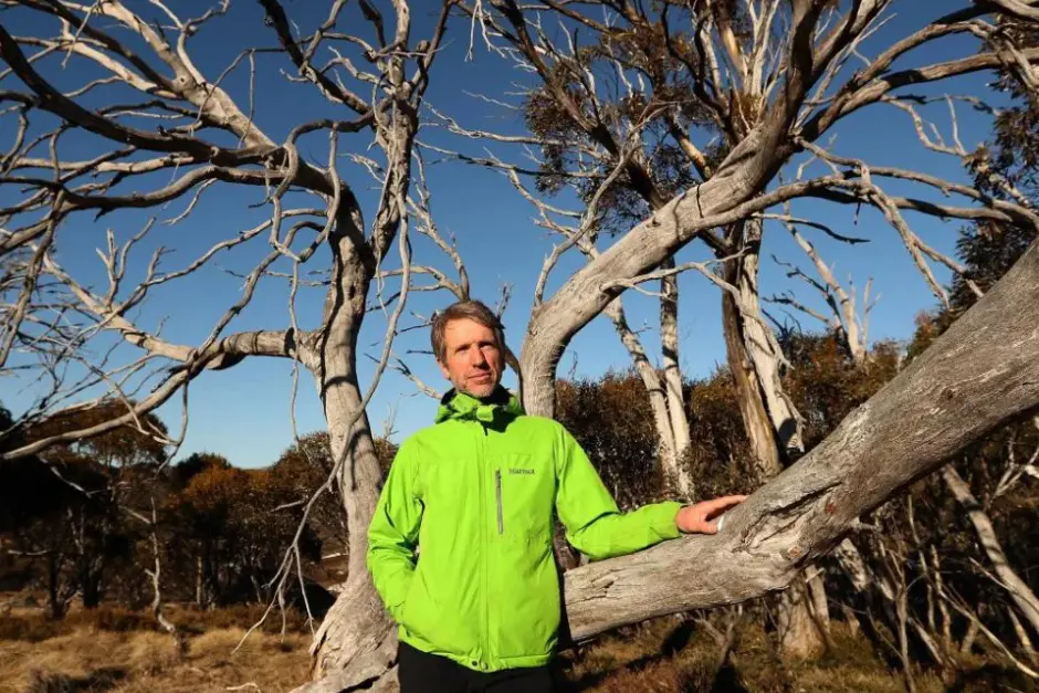 <p>URGENT ACTION NEEDED: Dr Matthew Brookhouse among dead snow gums in the High Country.</p>\\n