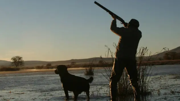 Open season for ducks at Lake Buffalo