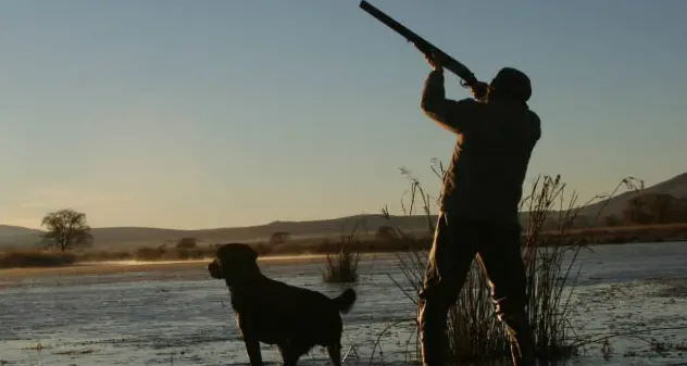 Open season for ducks at Lake Buffalo