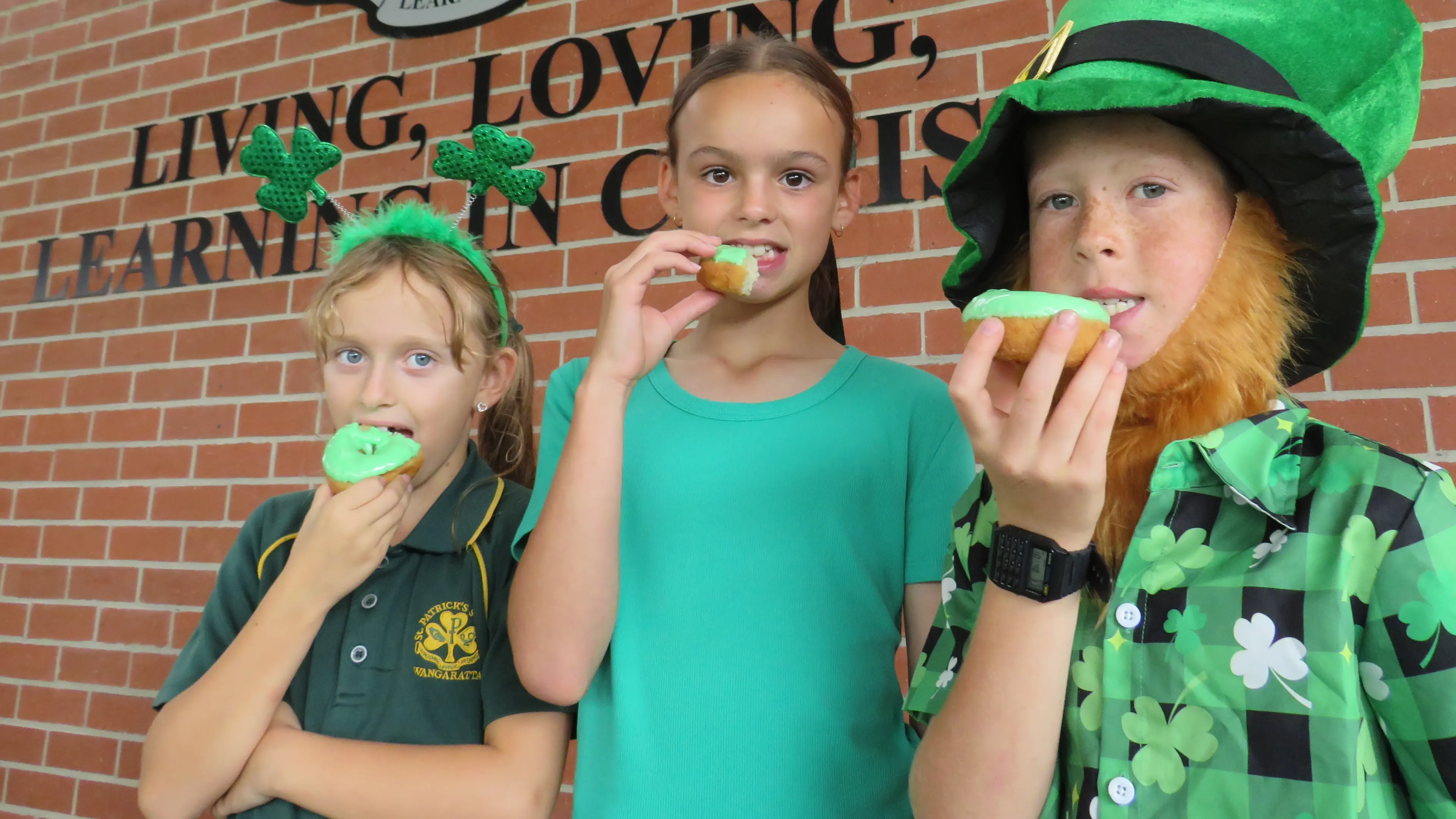 Green light for celebration on St Pat's Day