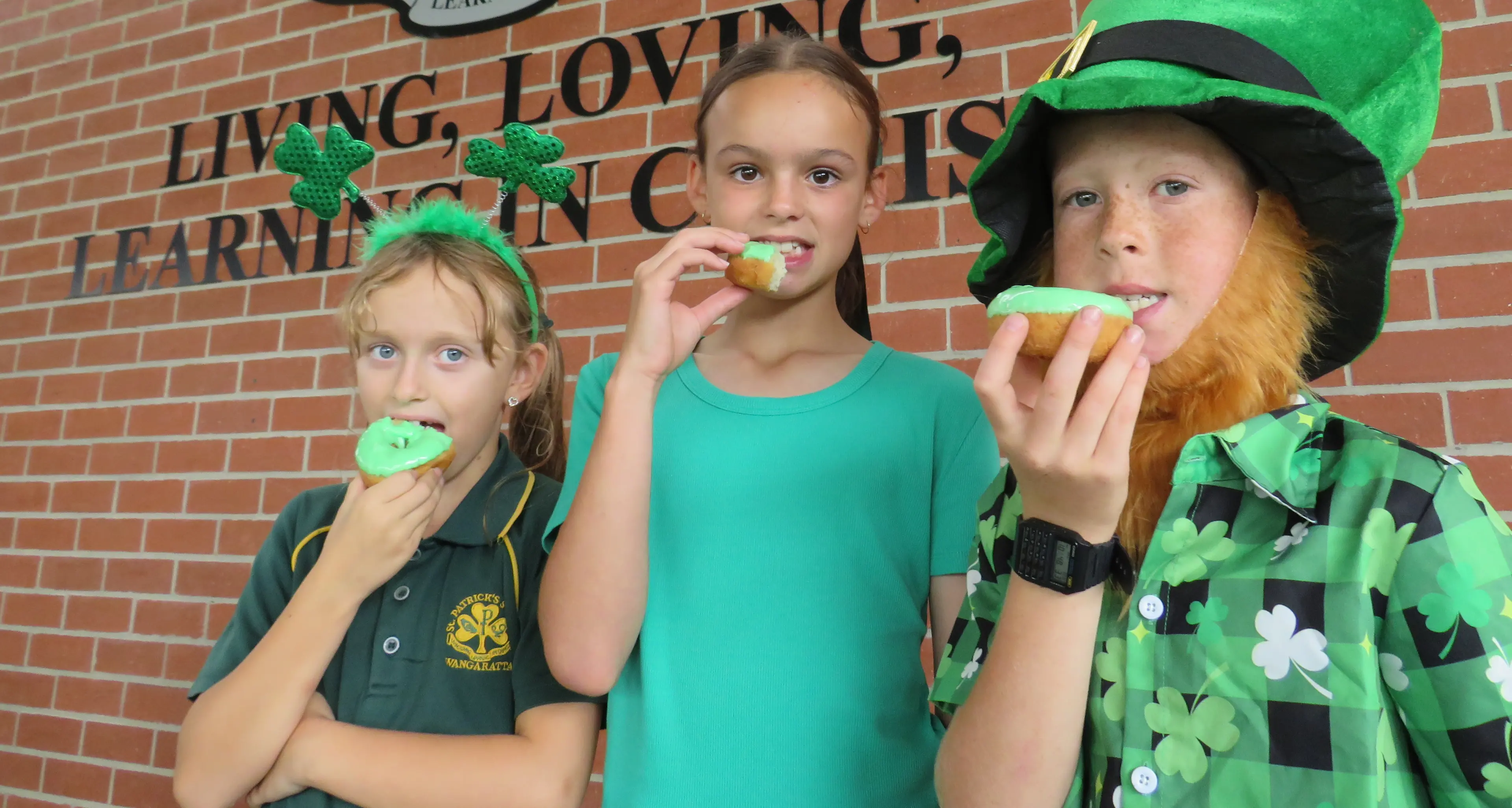 Green light for celebration on St Pat's Day