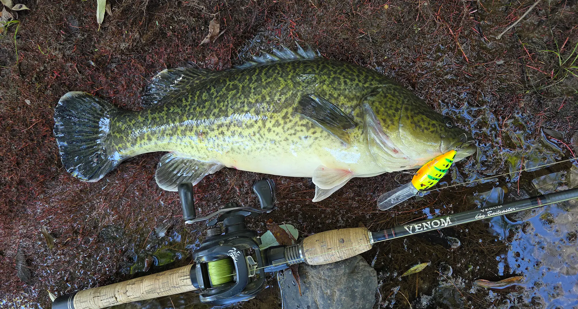 VRFish launches plan to make fishing better for Victorians