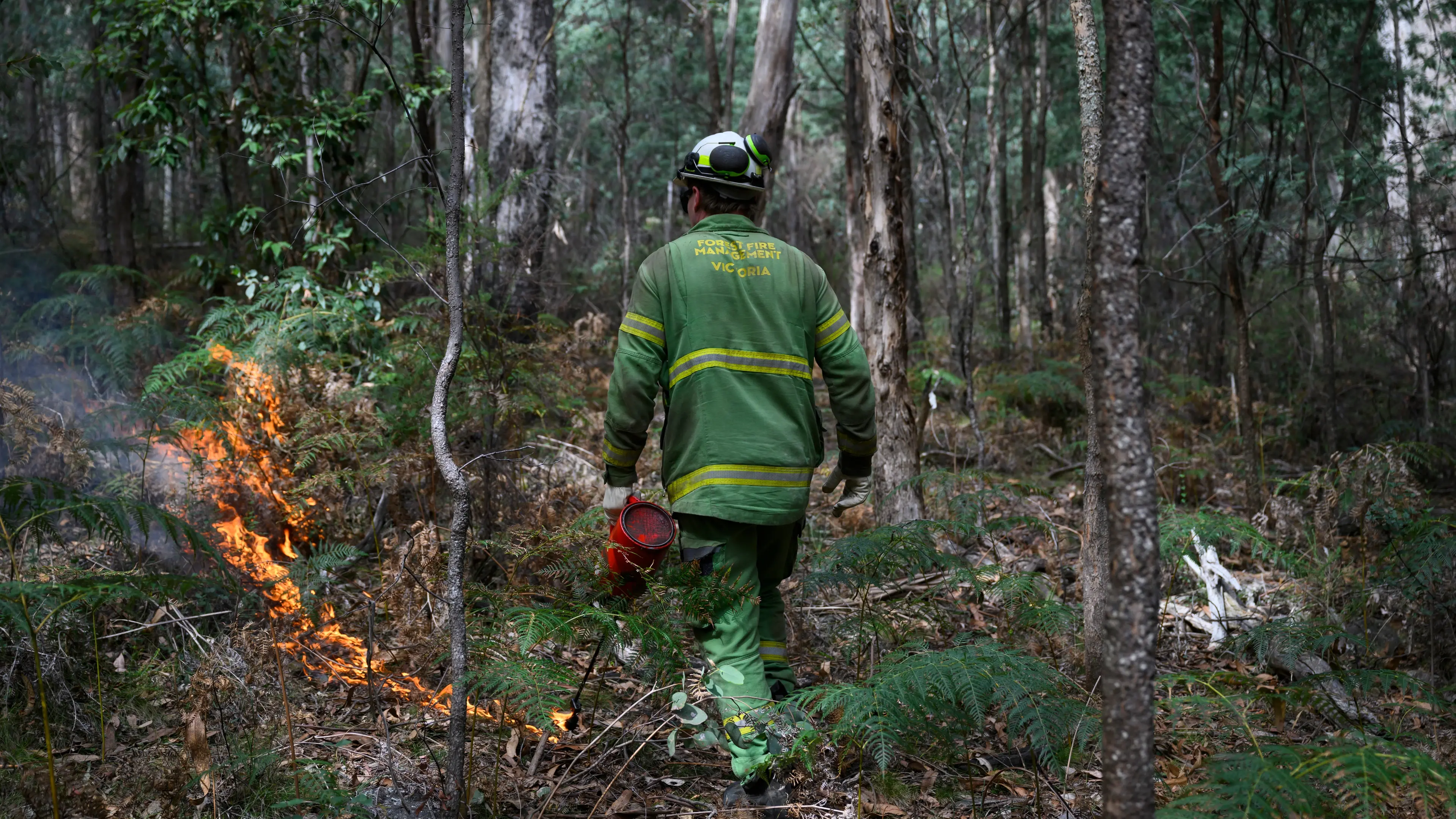 Planned burning set to take place across the region