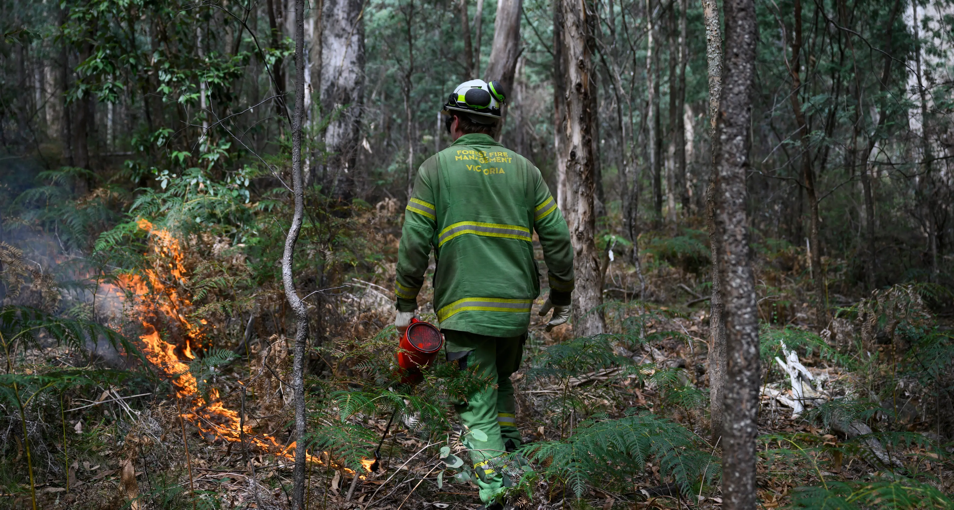 Planned burning set to take place across the region