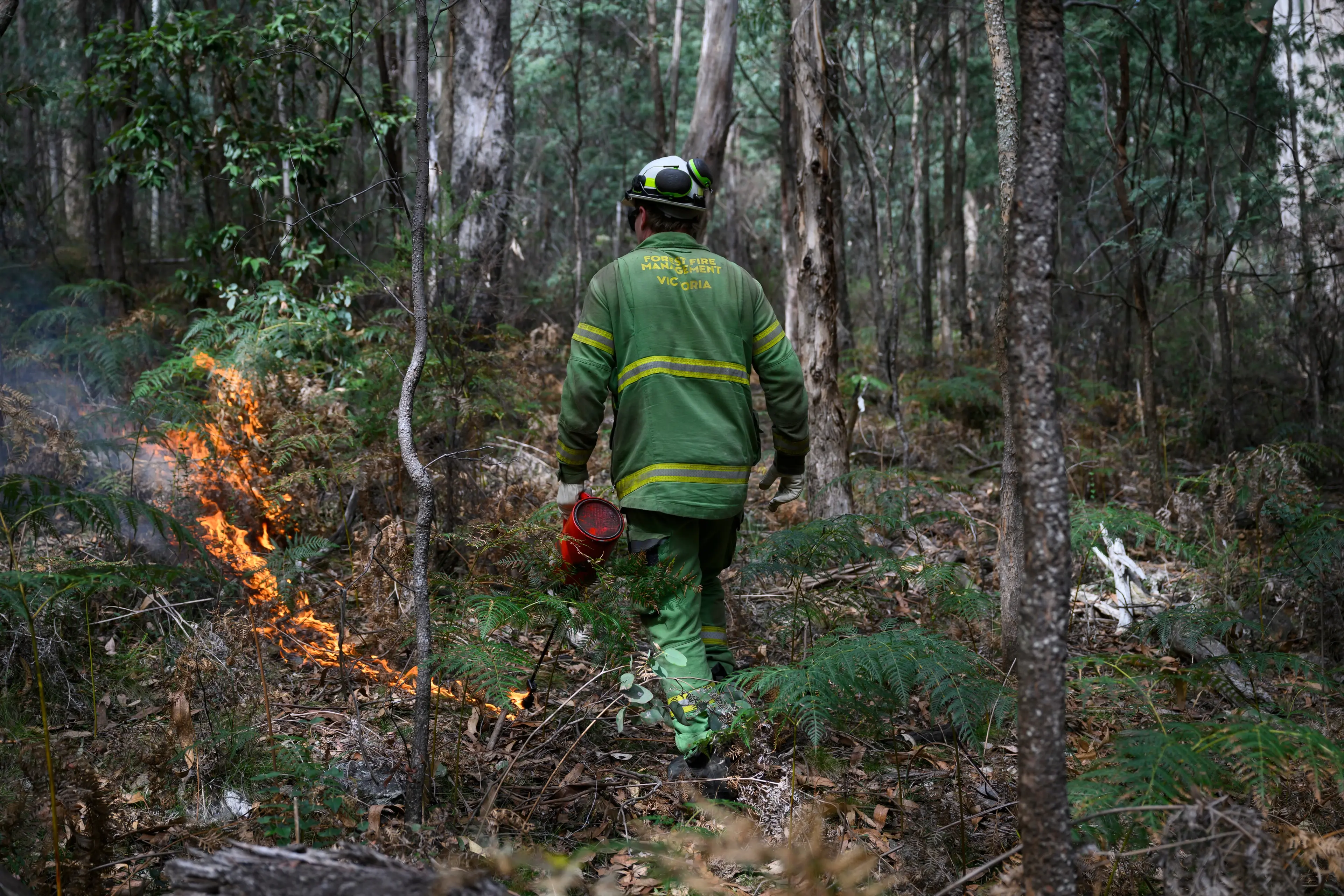 <p>REDUCING THE RISK: Planned burns are expected to begin within the North East.</p>\\n