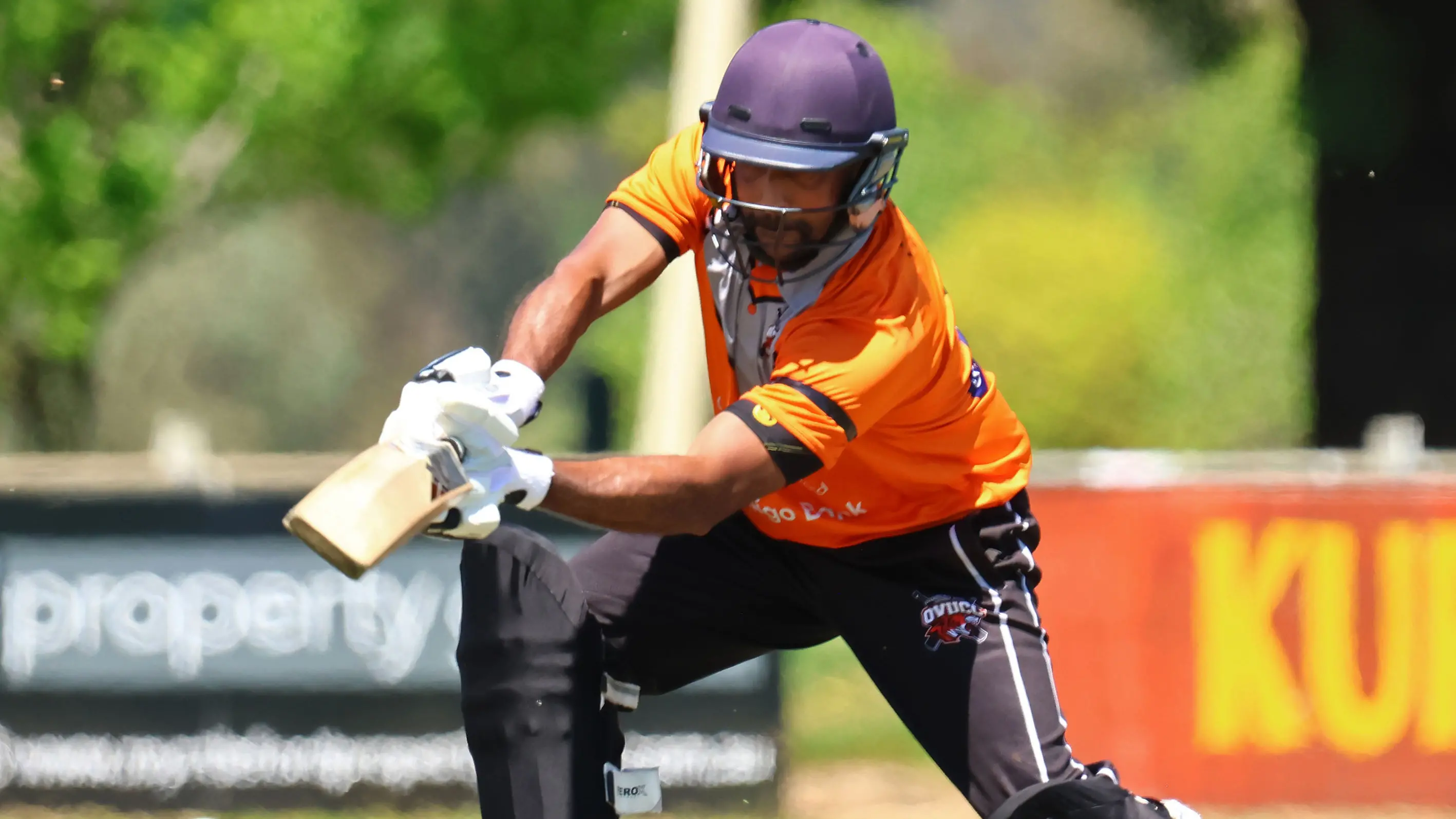 Alwis sweeps senior WDCA awards night