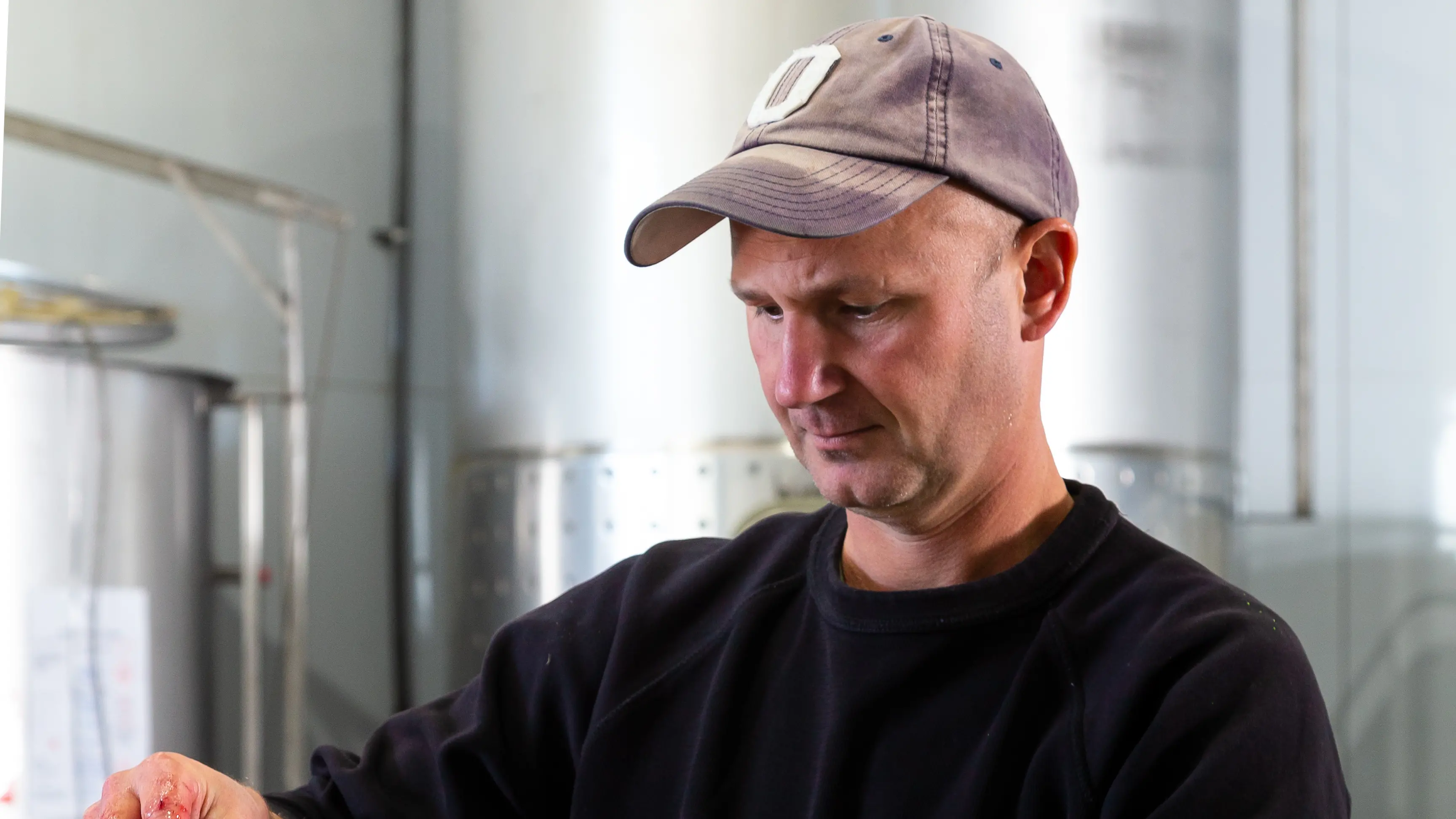 Fruits of labour ripen well