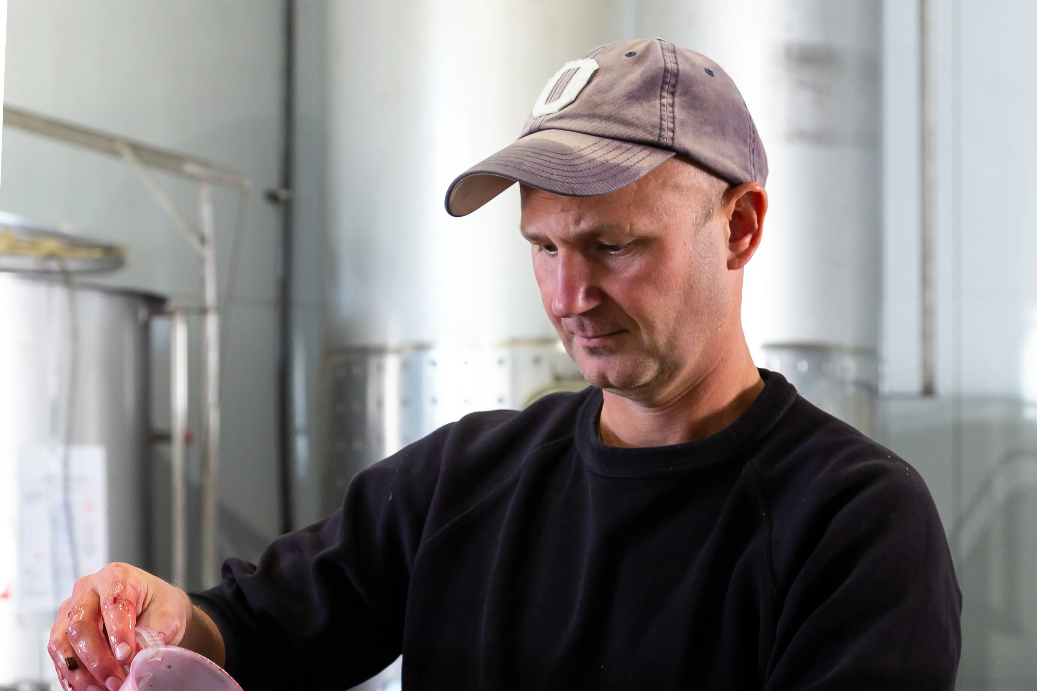 <p>REDLICIOUS: Market trends are constantly evolving and winemaker Joel Pizzini said a large part of the job is making sure products are meeting these consumer tastes. PHOTO: Pizzini Wines</p>\\n