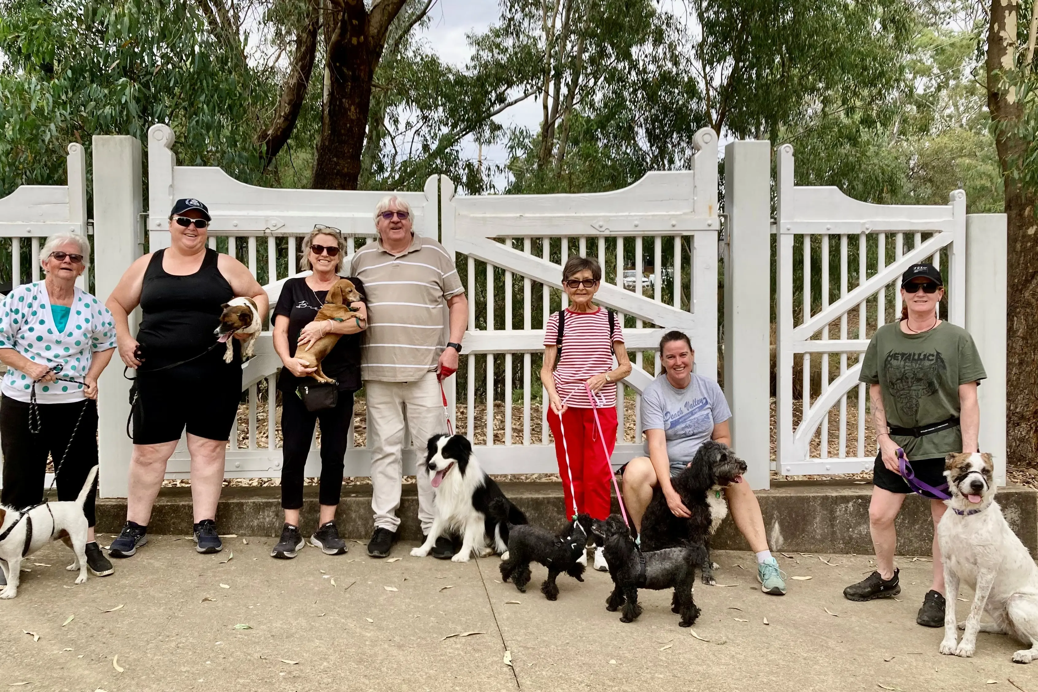 <p>MORNING WALK: Dogs and their owners stop for a photo opportunity during the February Happy Dogs Walk.  The next monthly walk will be held on Sunday.</p>\\n