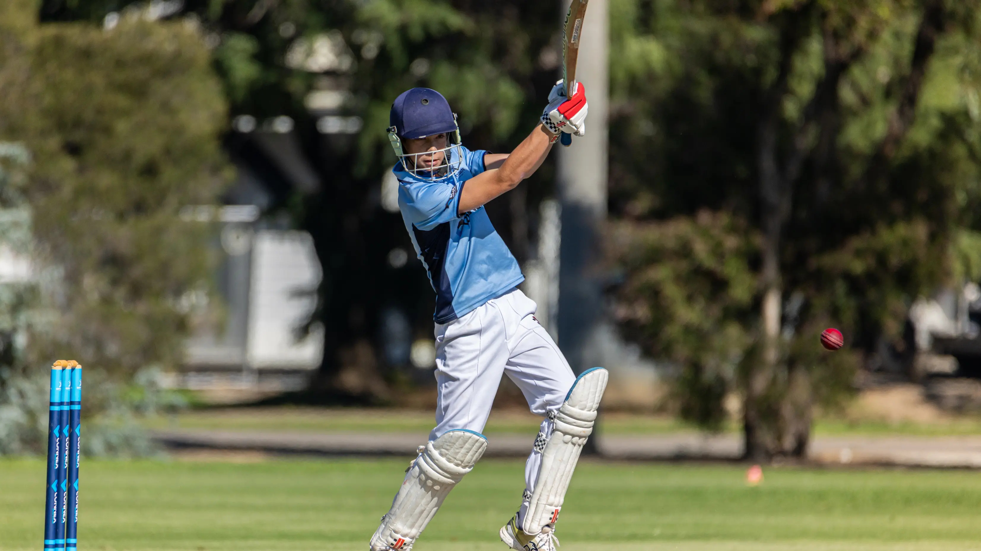 Finals frenzy for junior cricket