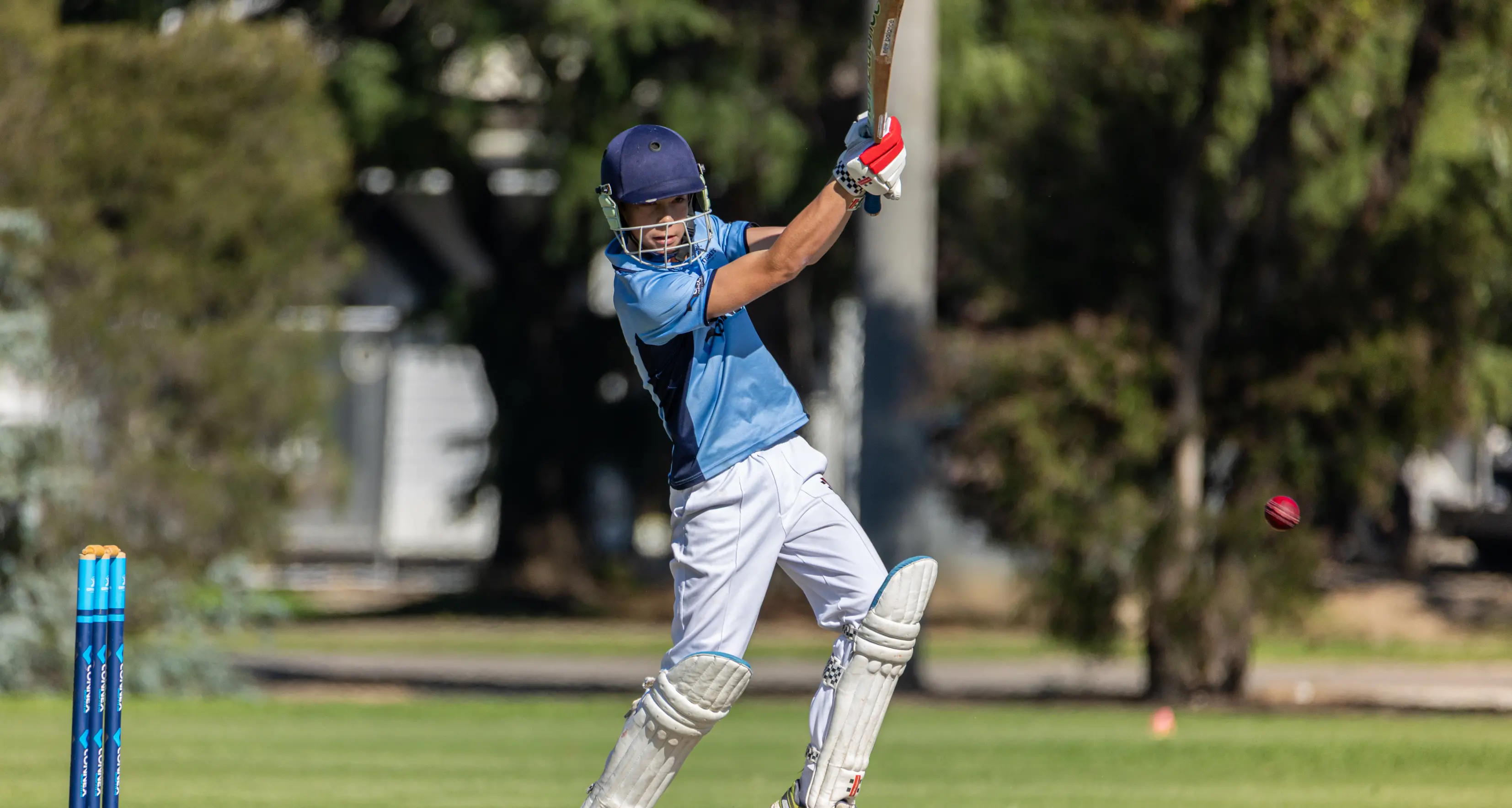 Finals frenzy for junior cricket