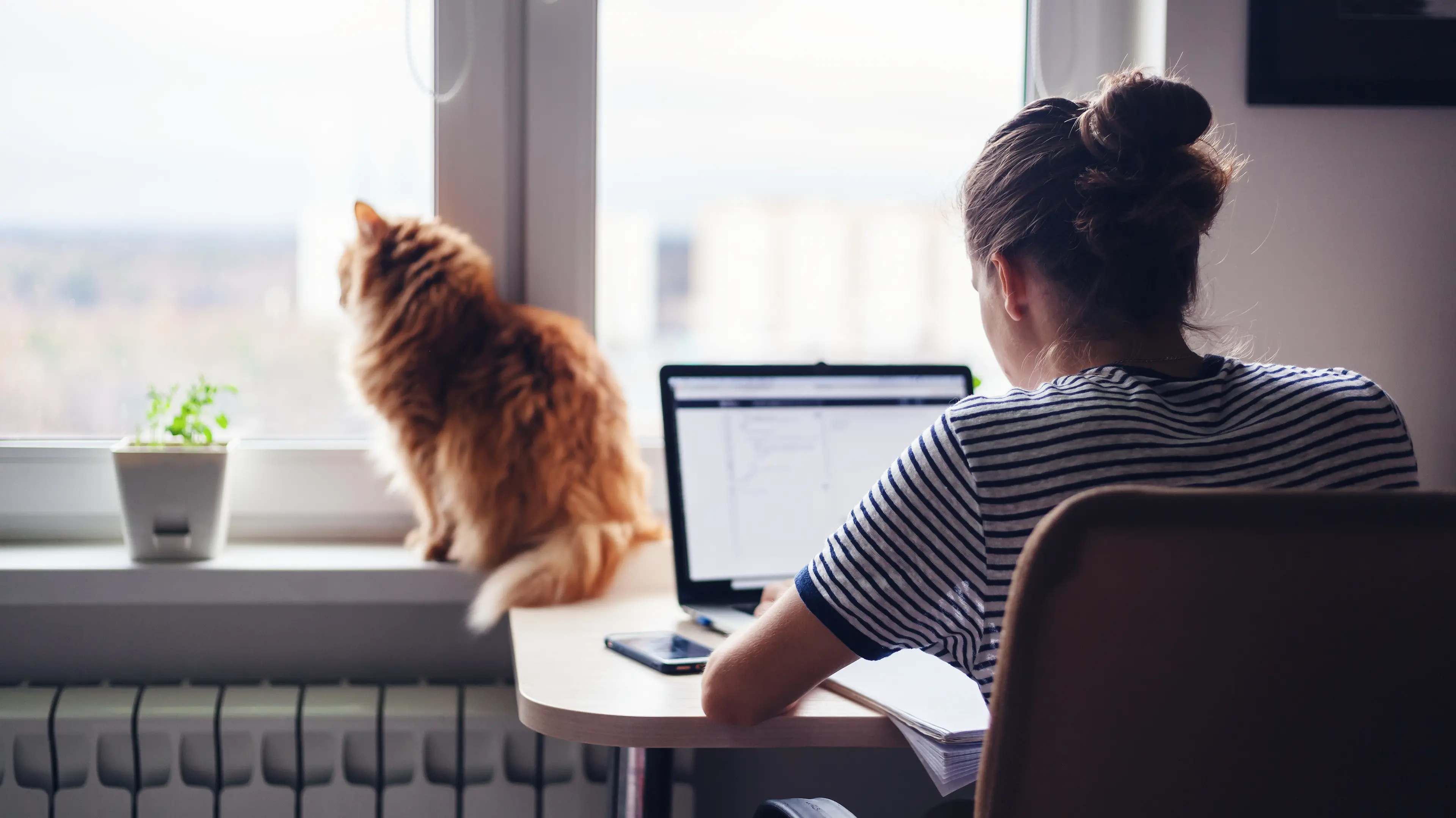 Three hours of free power every day