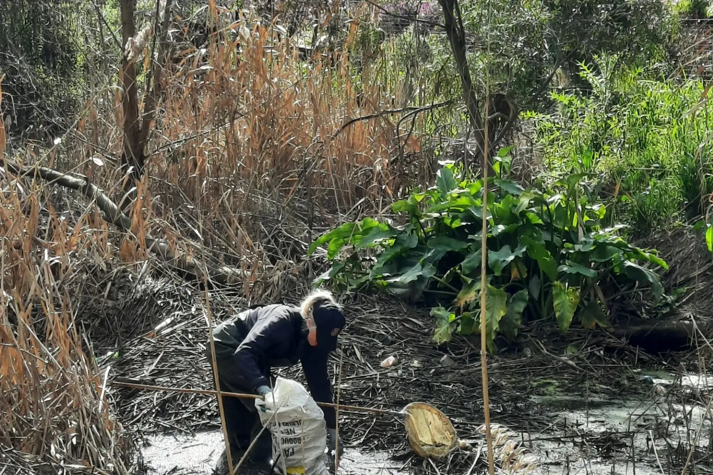 <p>GLOVES ON: Judy Lowen, a member of the Clean Up Wangaratta group, in the early days of the One Mile Creek clean-up project. </p>\\n