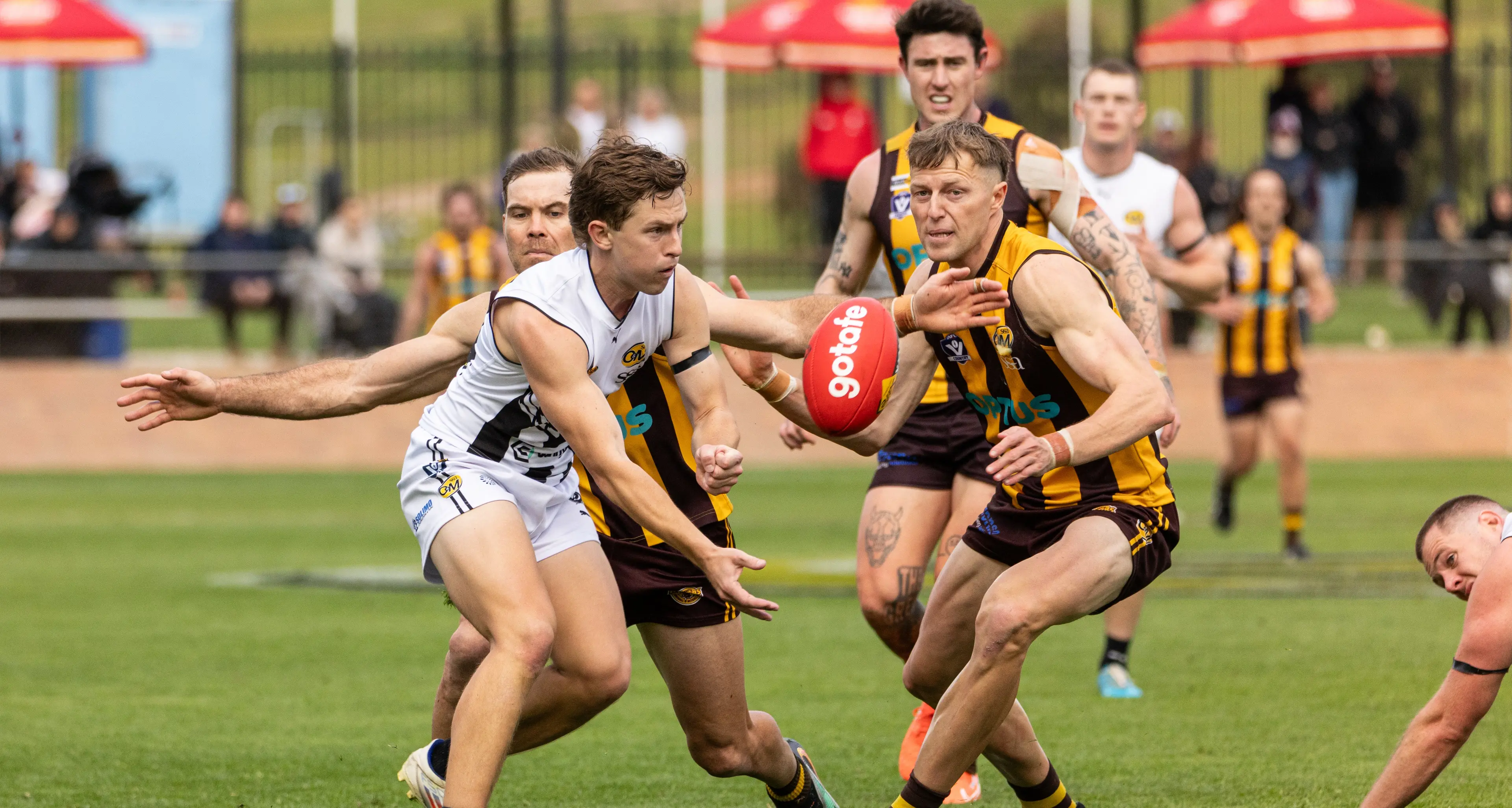 Glorious Good Friday derby to launch O&M season in Wangaratta