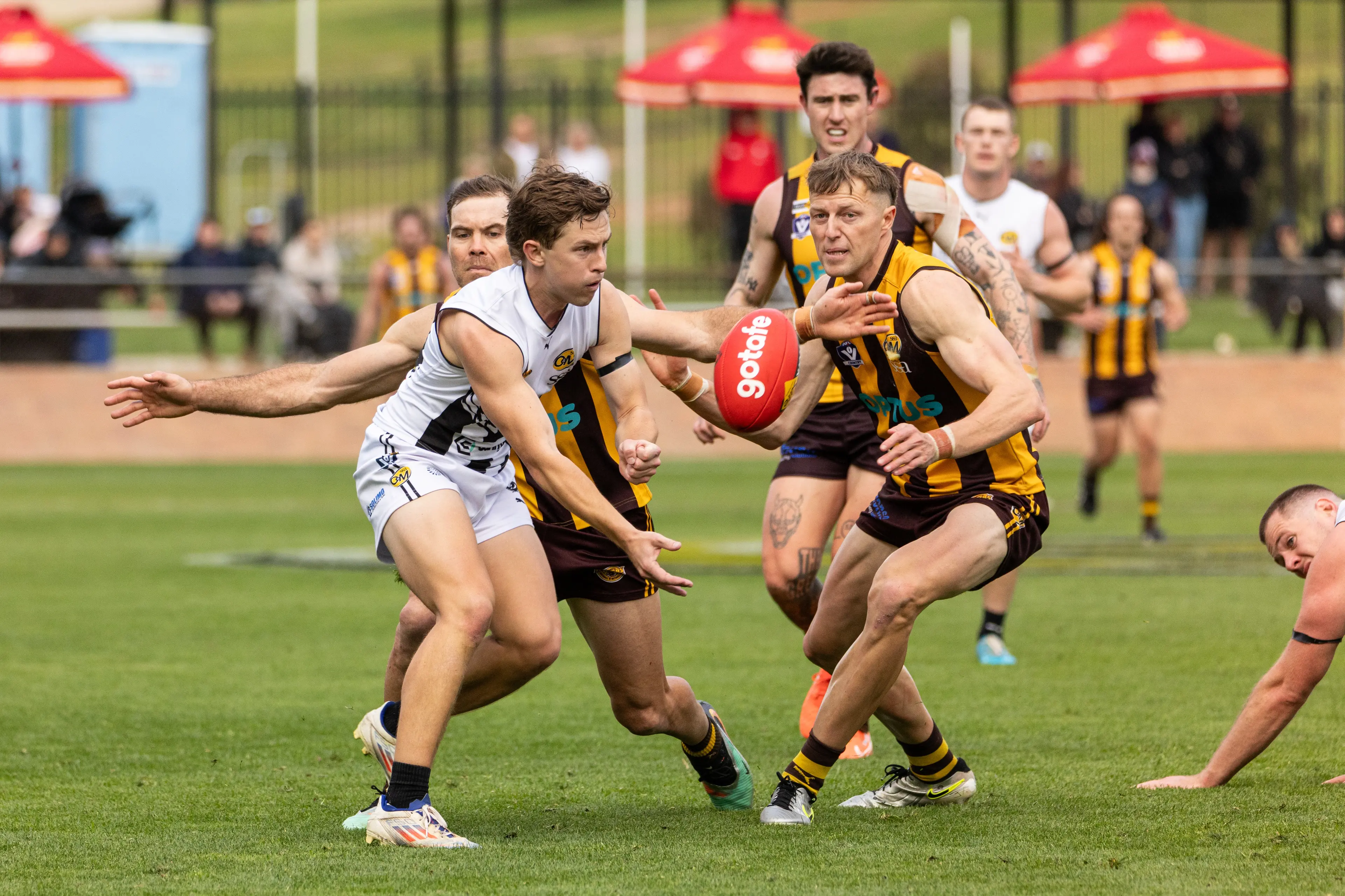 <p>DERBY DELIGHT: Wangaratta Magpies and Rovers will meet in senior footy for the first time since the 2025 grand final, with the season opening derby set for Good Friday. PHOTO: Marc Bongers</p>\\n
