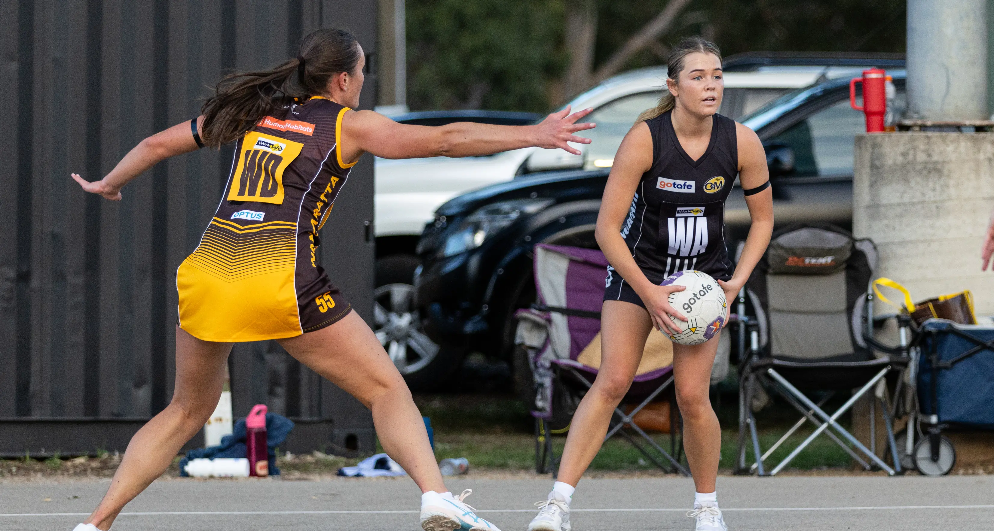 Magpies to meet the benchmark under lights