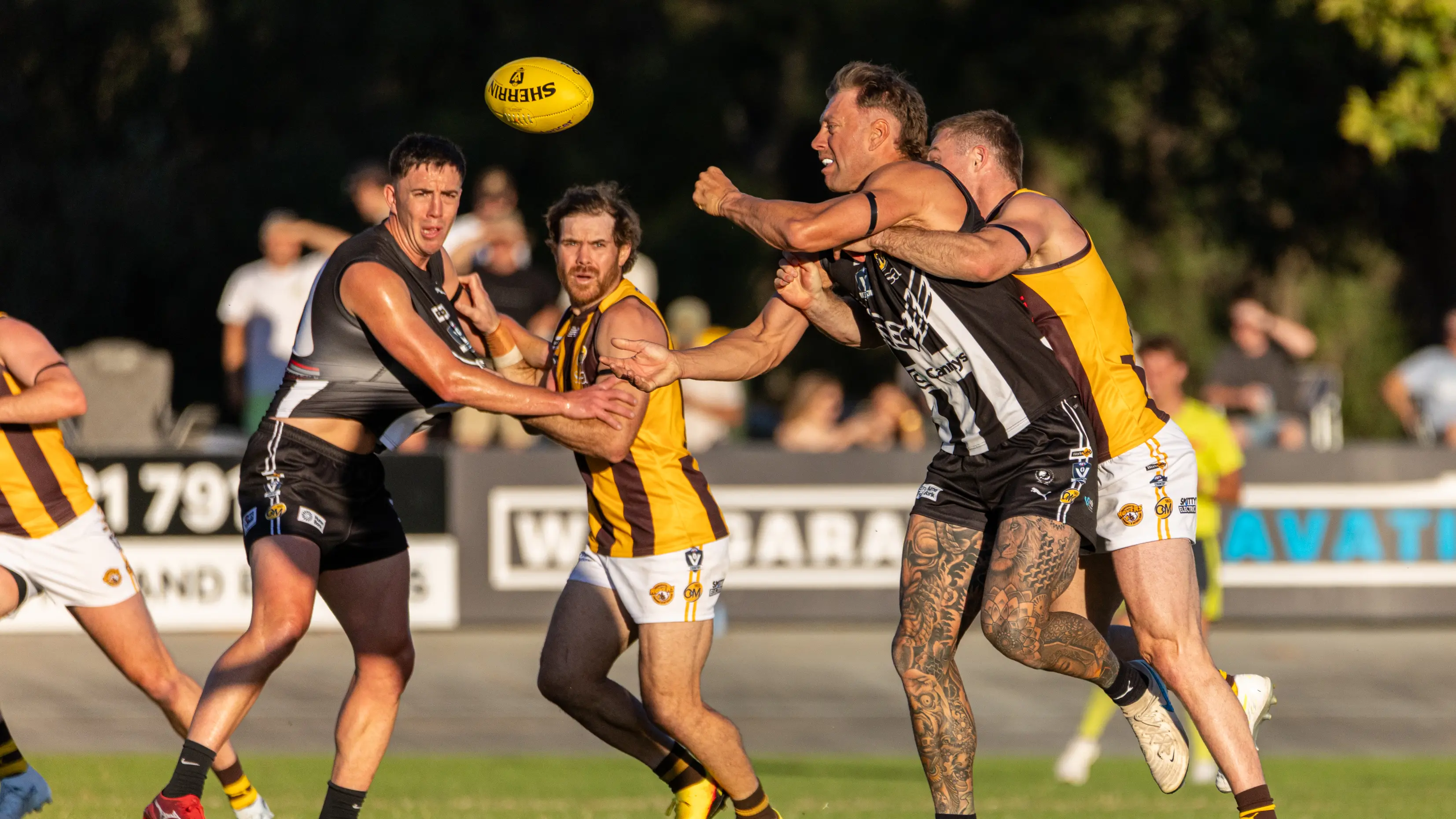 ‘Pies primed to pillage Raiders in twilight tussle