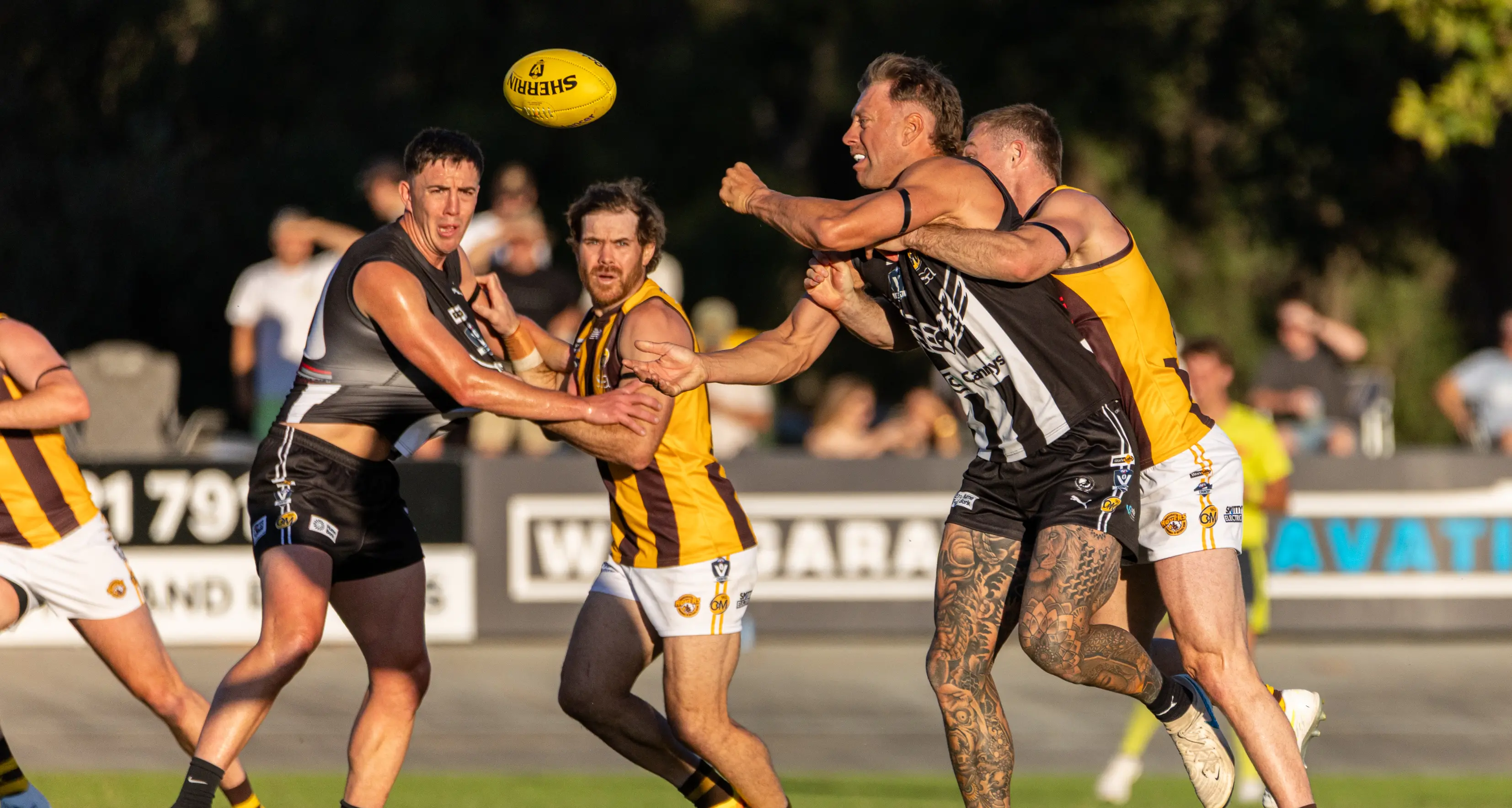 ‘Pies primed to pillage Raiders in twilight tussle