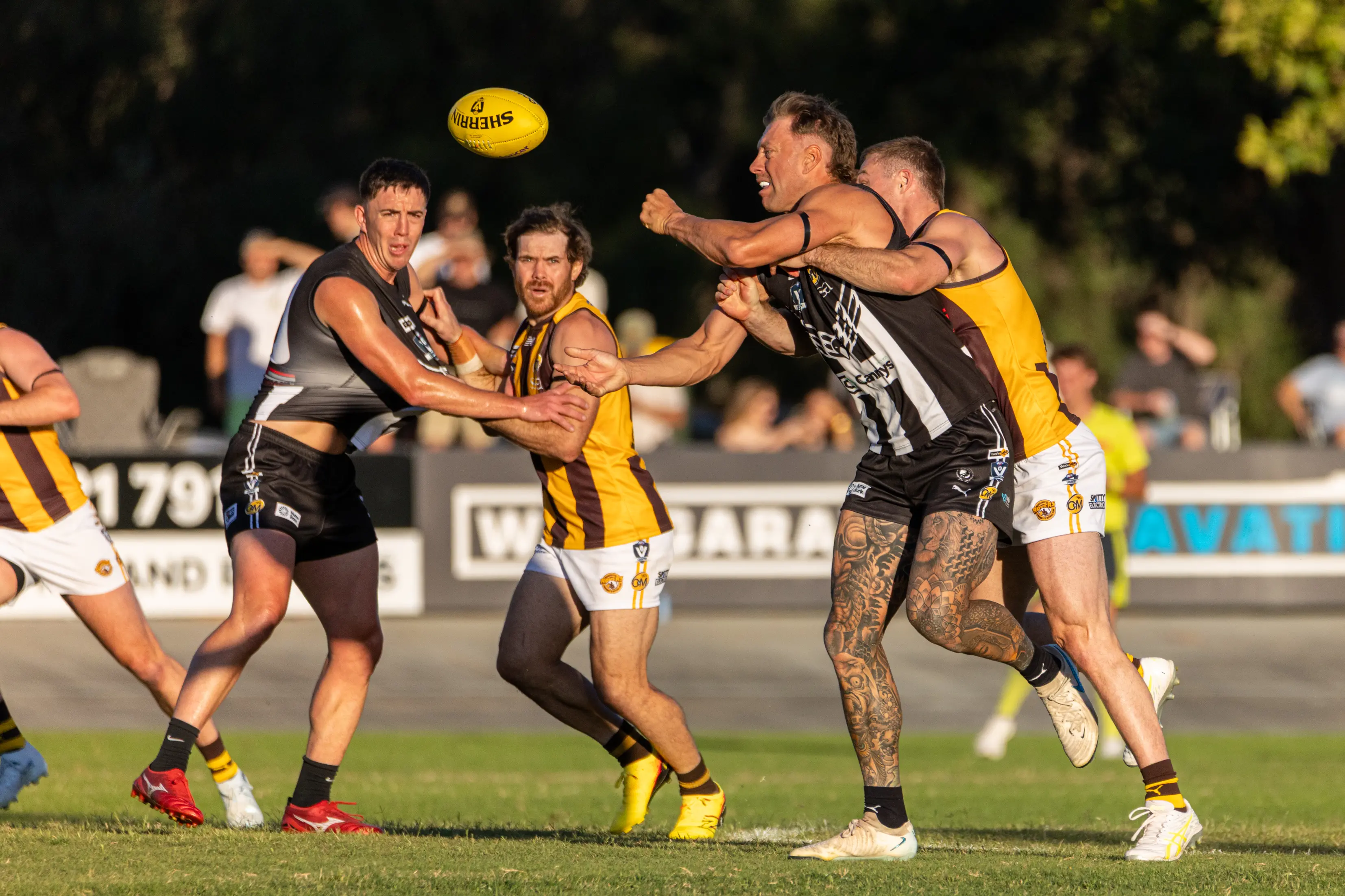 <p>GET ON THE BOARD: Tyson Young and the \\'Pies will be eager to bank the points at home to Wodonga Raiders this Saturday evening. PHOTO: Marc Bongers</p>\\n
