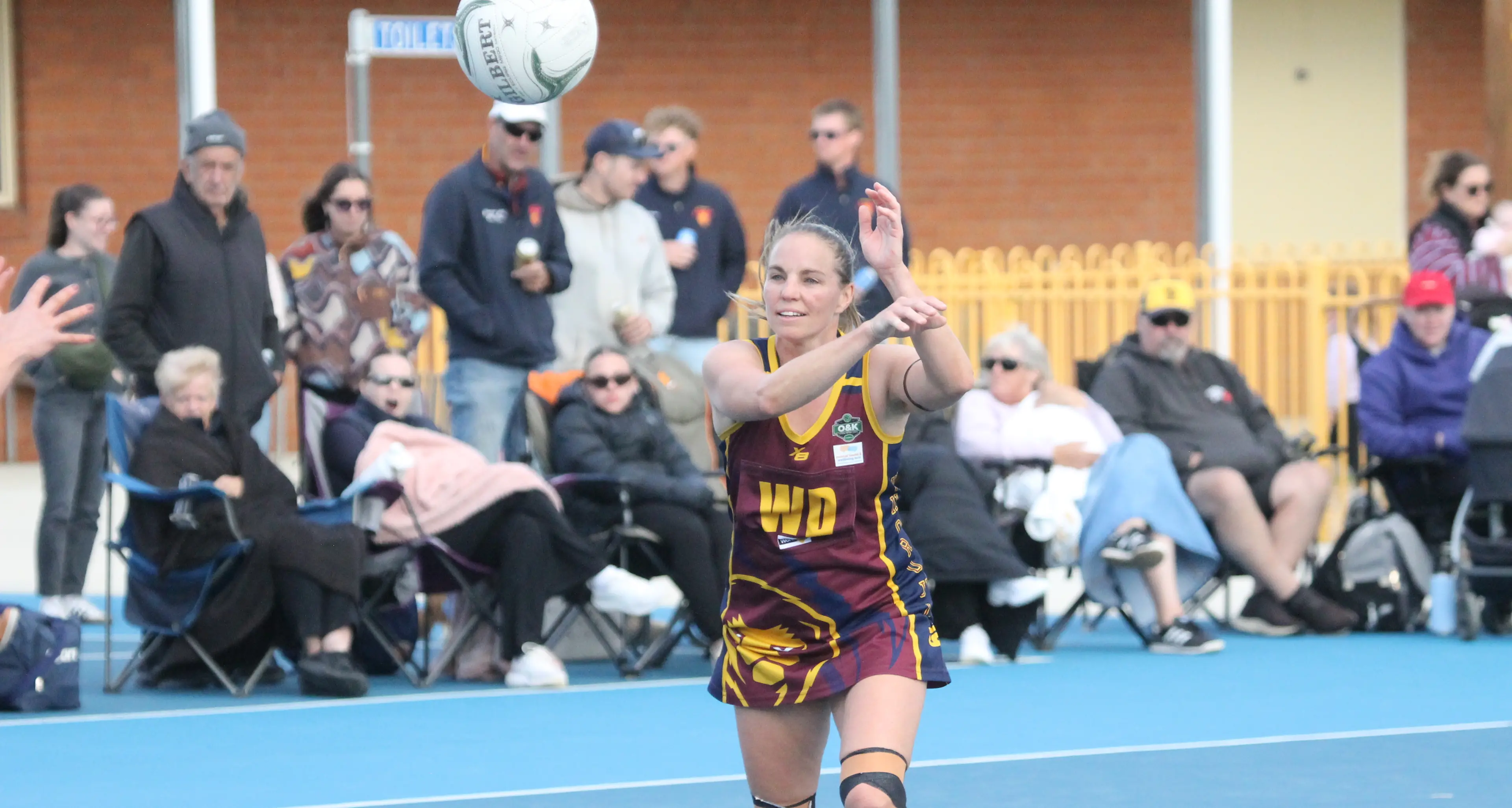 Lions, Bats setting the standard in O&K netball
