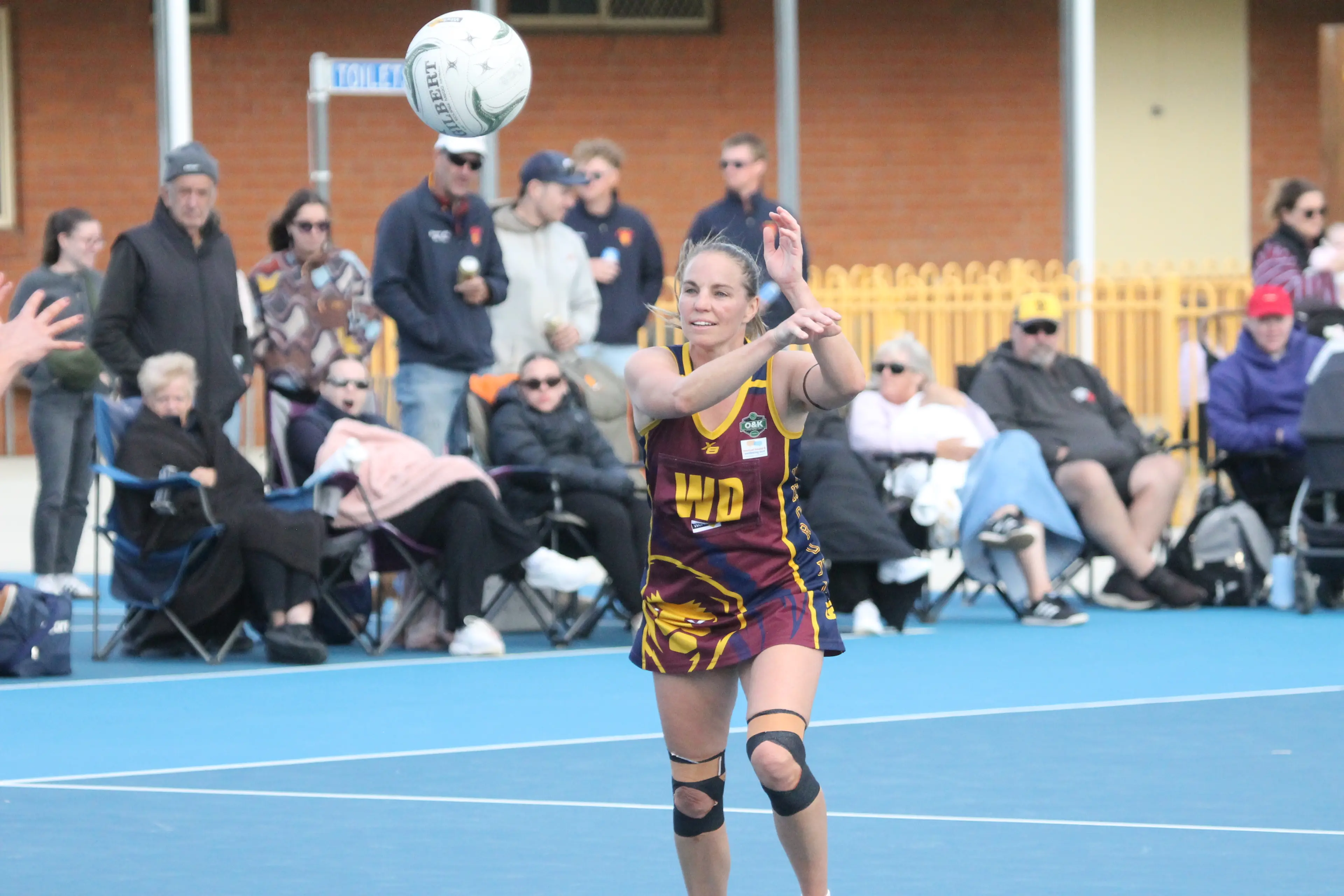 <p>LONG PASS: Jane-Maree Fitzpatrick lobs the ball through the midcourt. PHOTO: Nathan de Vries</p>\\n