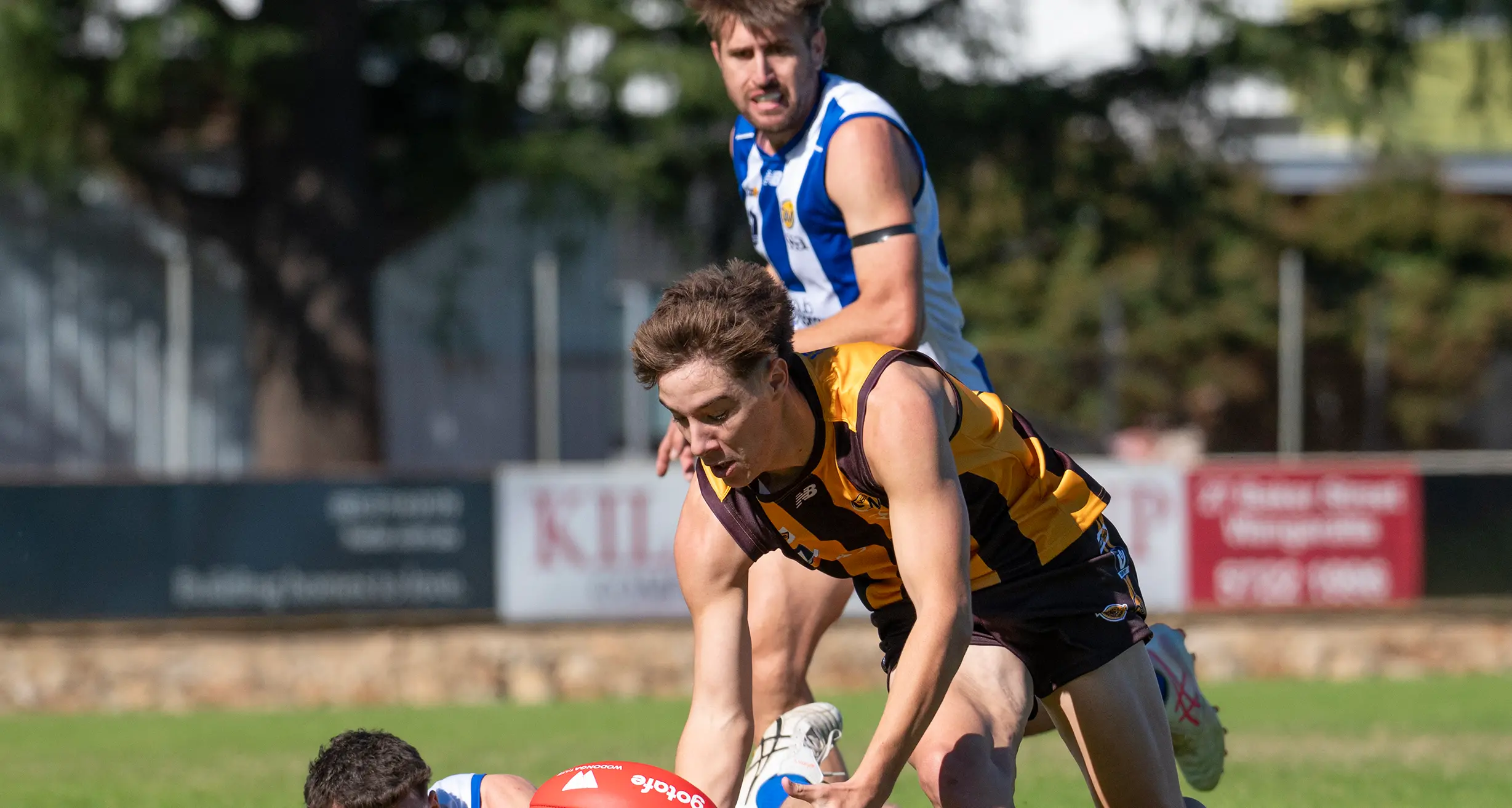 Rovers bye-bound with undefeated run, 40-points too good for Roos