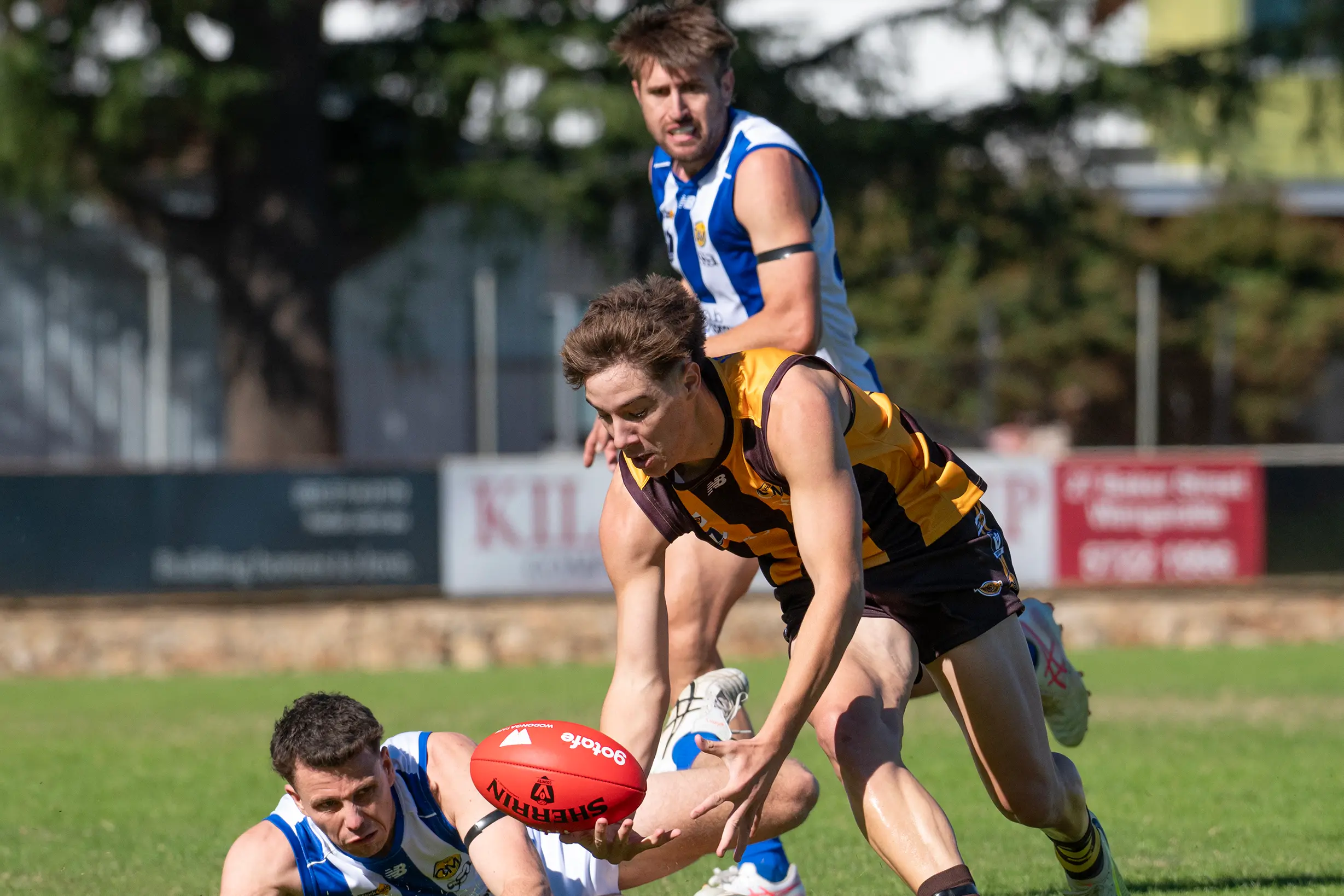 <p>GROUND BALL: Noah Scholte swoops on a loose footy. PHOTO: Melissa Beattie</p>\\n
