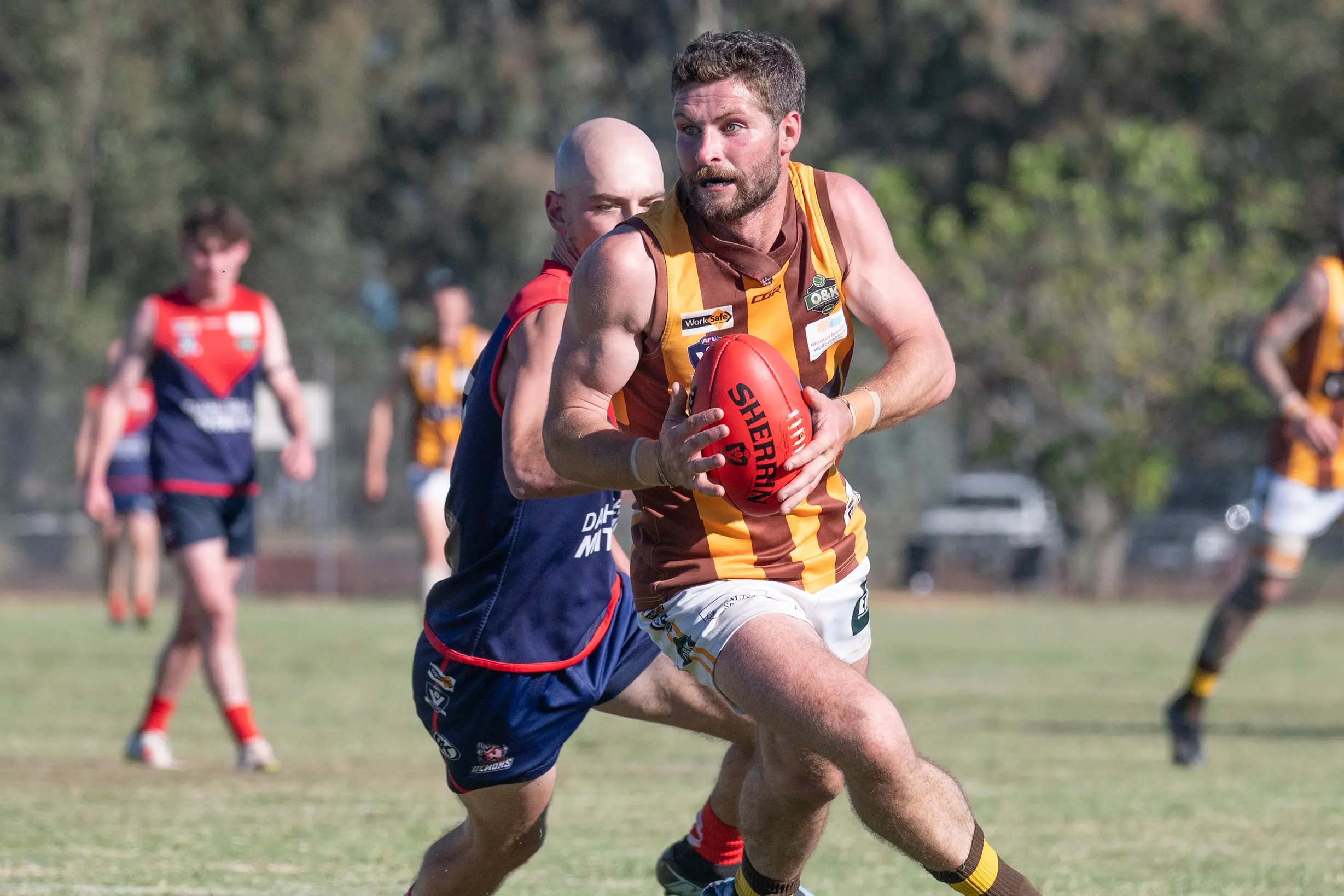 <p>INSIDE 50: David Killen looks for a target going forward. PHOTO: Melissa Beattie</p>\\n