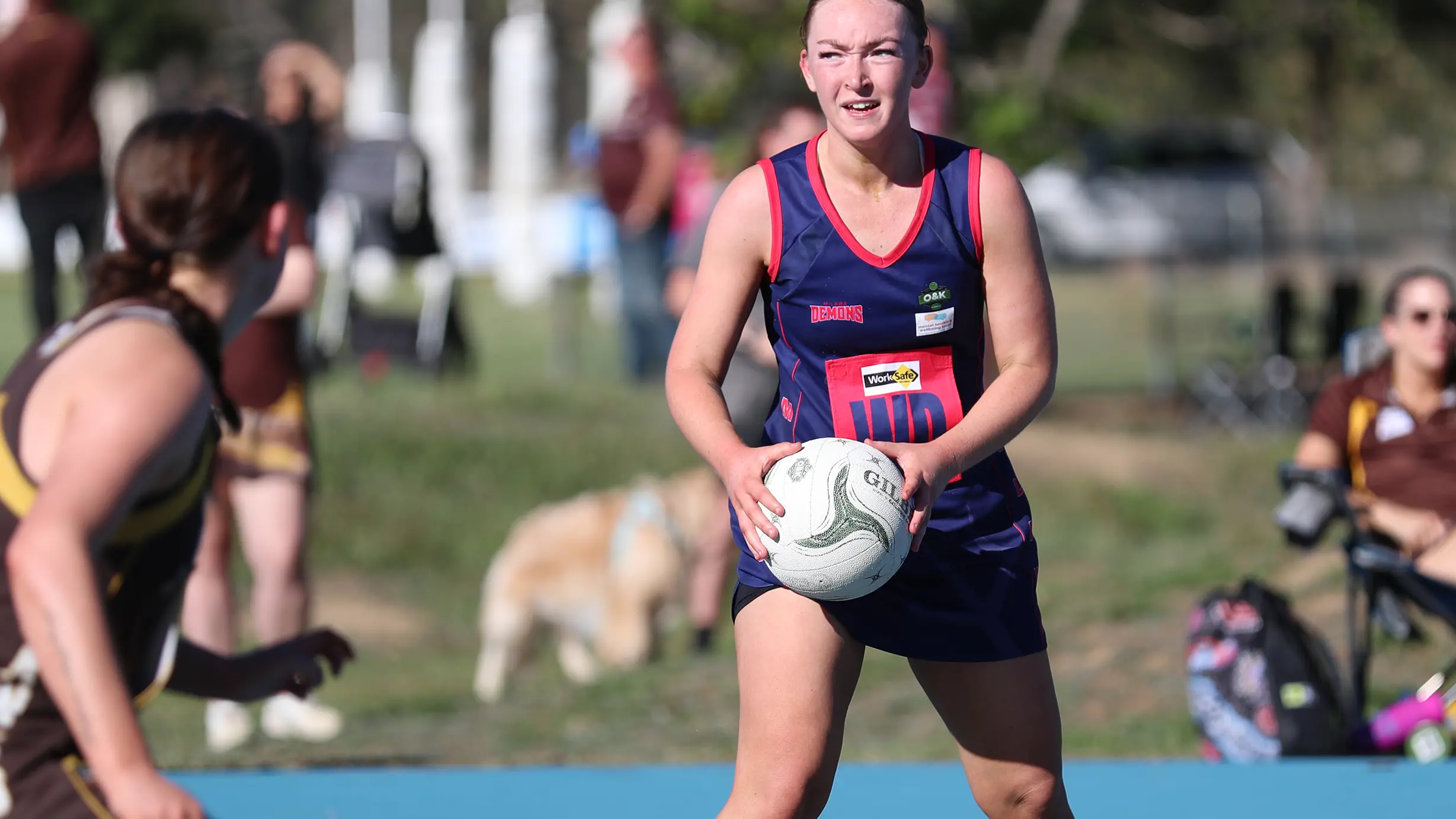 Dees triumph over vastly-improved Hawks