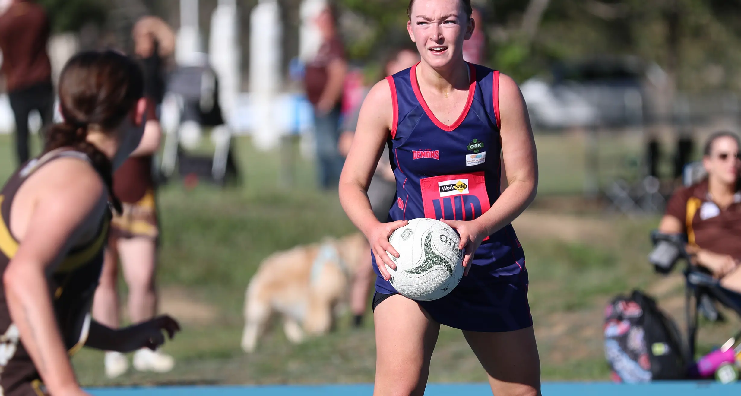 Dees triumph over vastly-improved Hawks