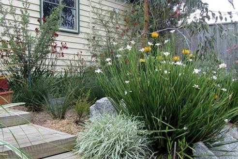 Landscaping for Sustainability: How to Set Up a Greener Garden