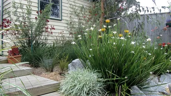Landscaping for Sustainability: How to Set Up a Greener Garden