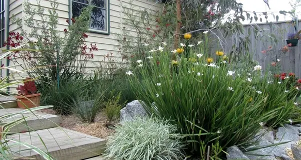 Landscaping for Sustainability: How to Set Up a Greener Garden