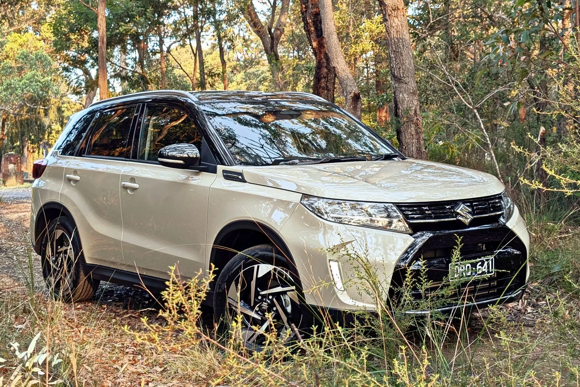 <p>POTENTIAL: The engineering was impressive, but Suzuki Vitara is in much need of a technology and safety refresh. </p>\\n