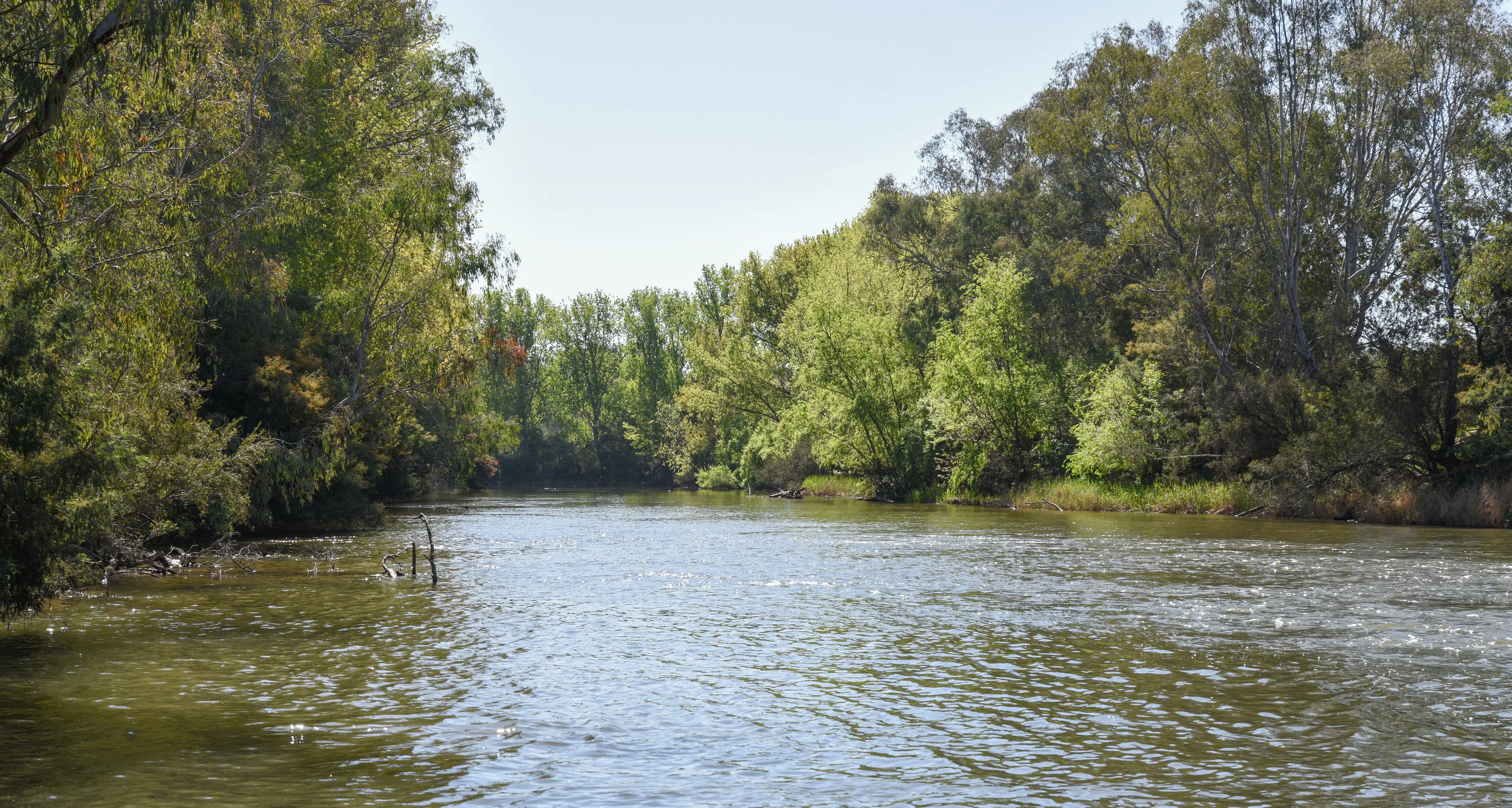 Water body encourages northern Victorian voices to be heard in Murray-Darling Basin Plan Review