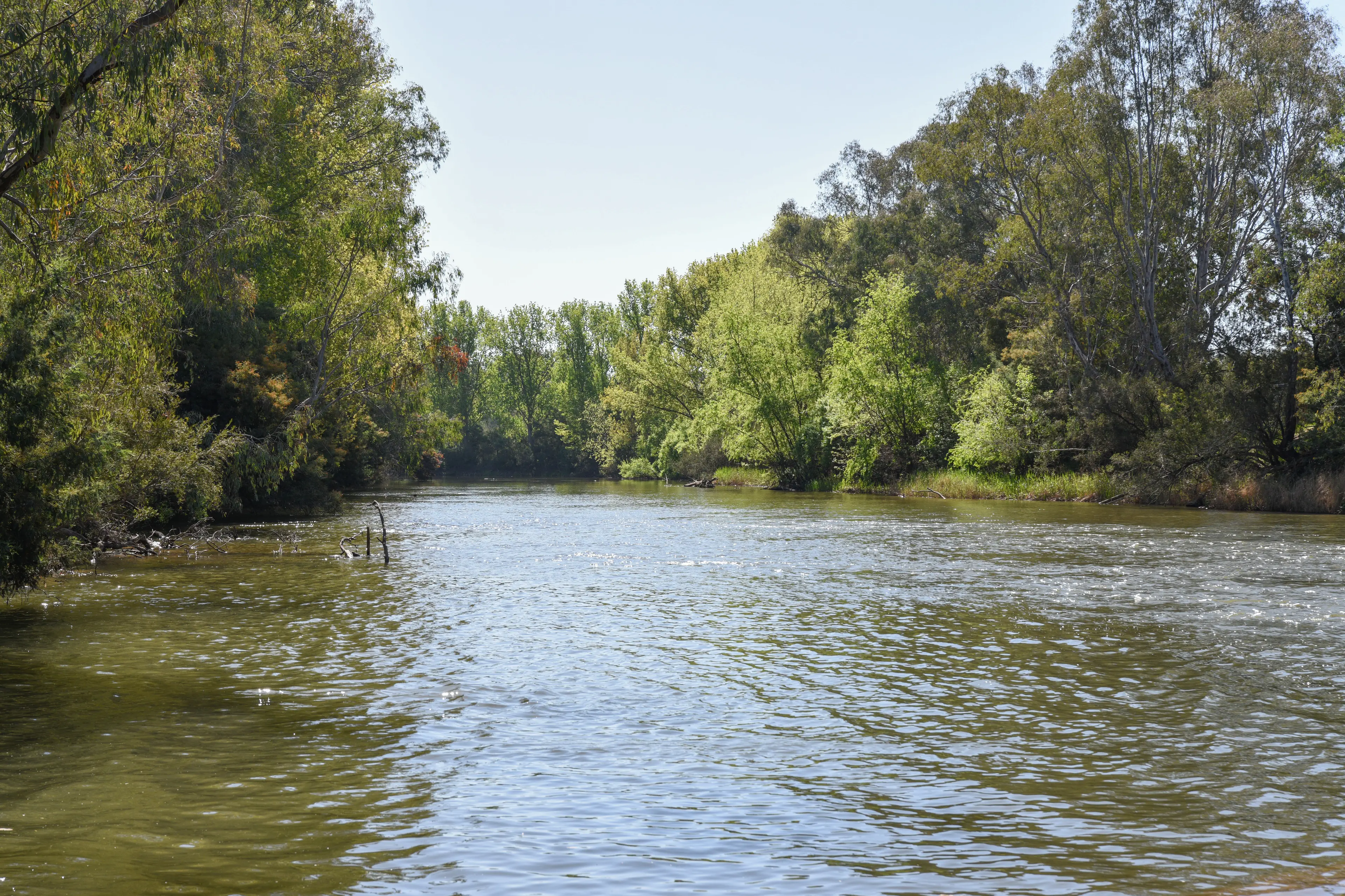 <p>HAVE YOUR SAY: Submissions for the Murray\\u2013Darling Basin Authority\\u2019s Basin Plan Review close on Friday, 1 May.</p>\\n