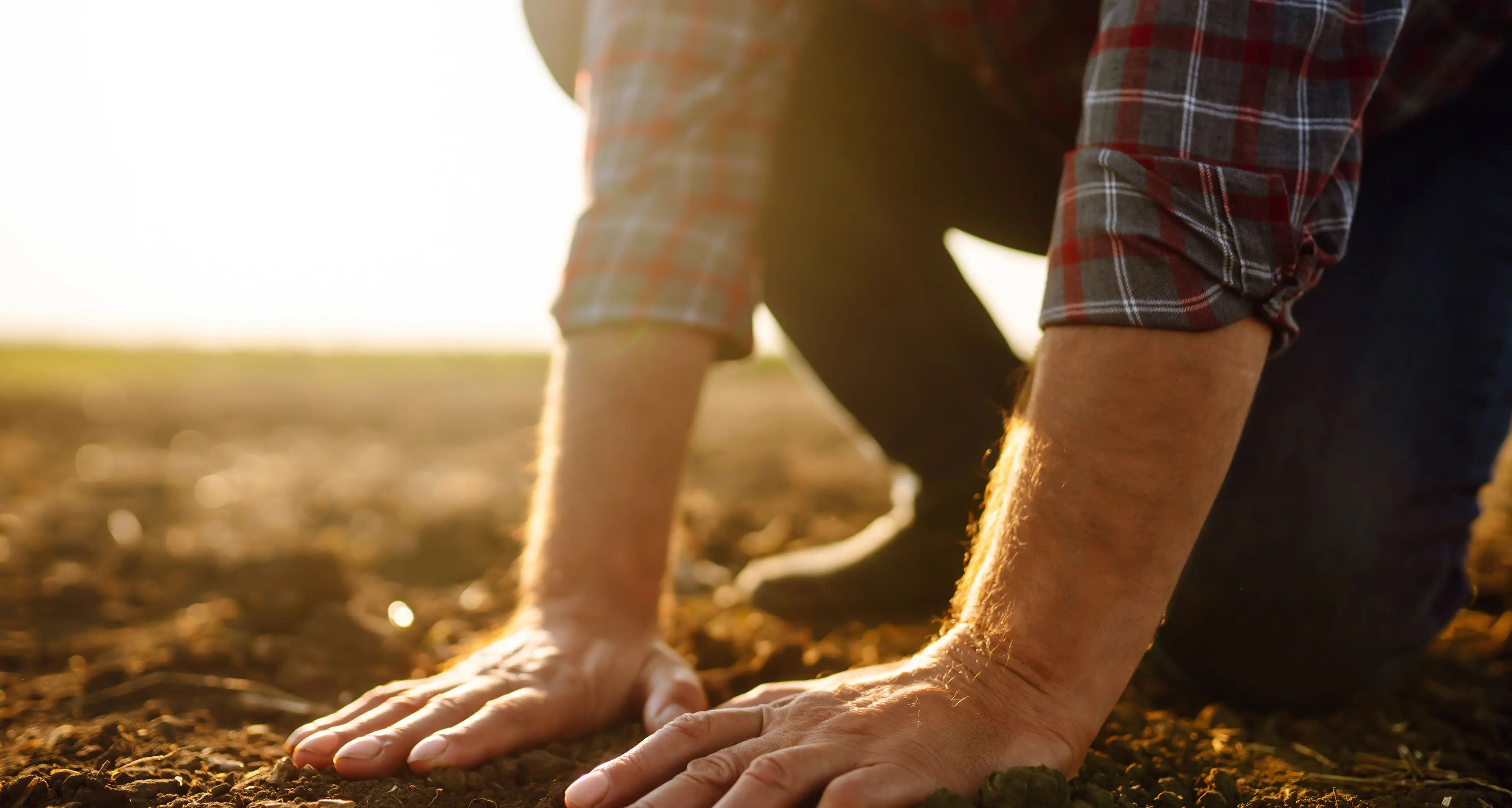 Warm weather with no rain