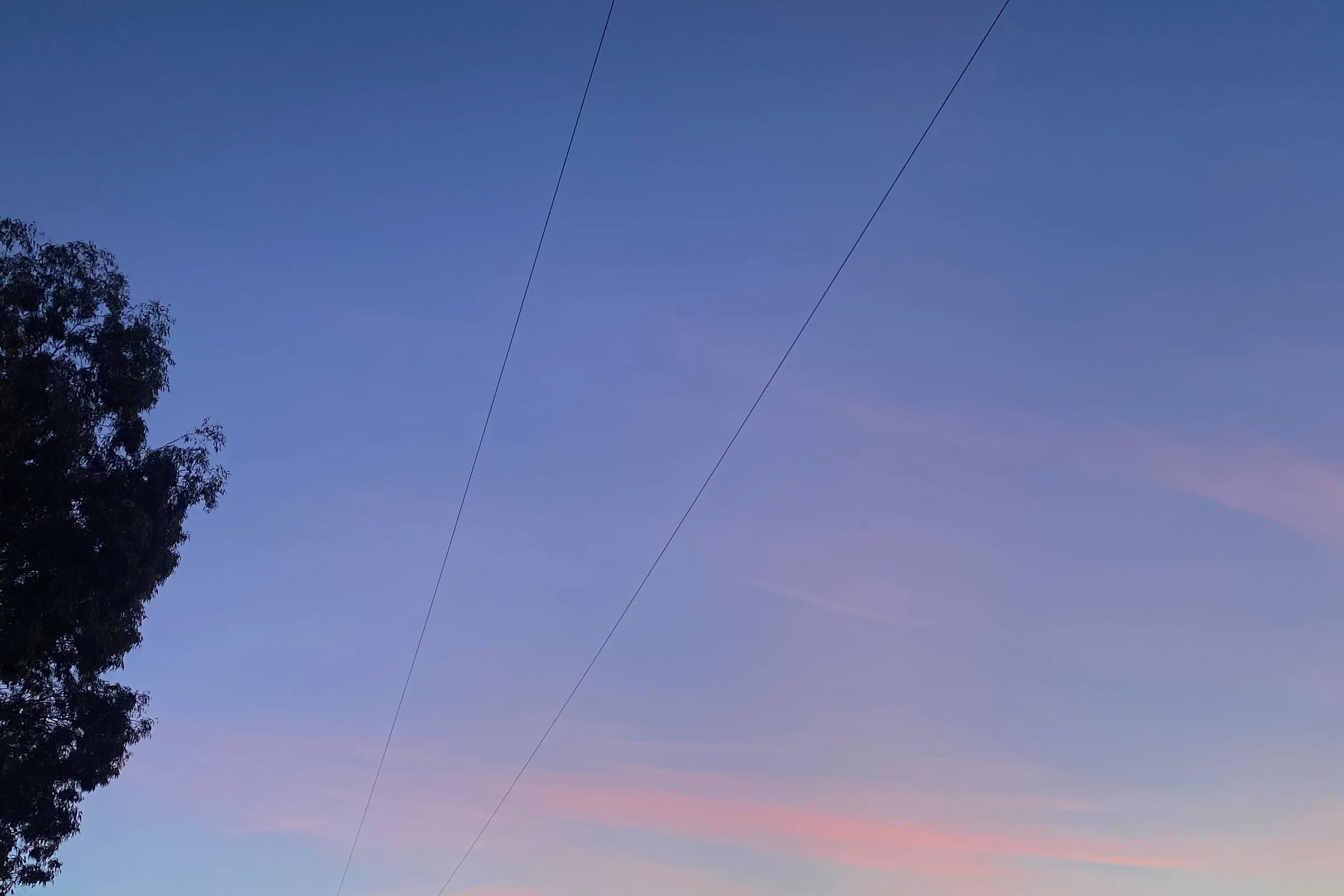 <p>BLUE SKIES AHEAD: More warm days are forecast after a chilly start to May. PHOTO: Jordan Duursma</p>\\n