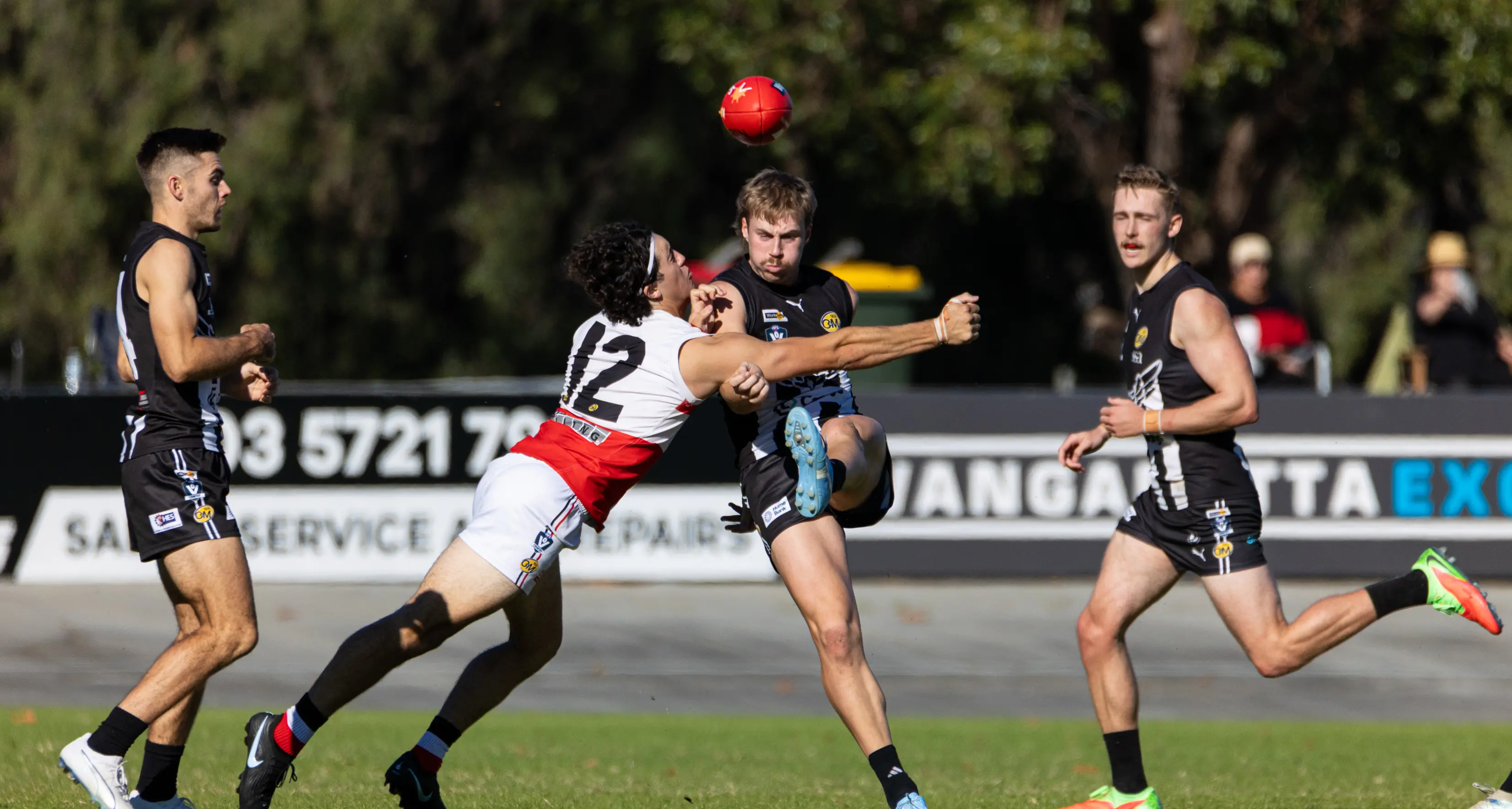 ‘Pies starting to stretch their legs