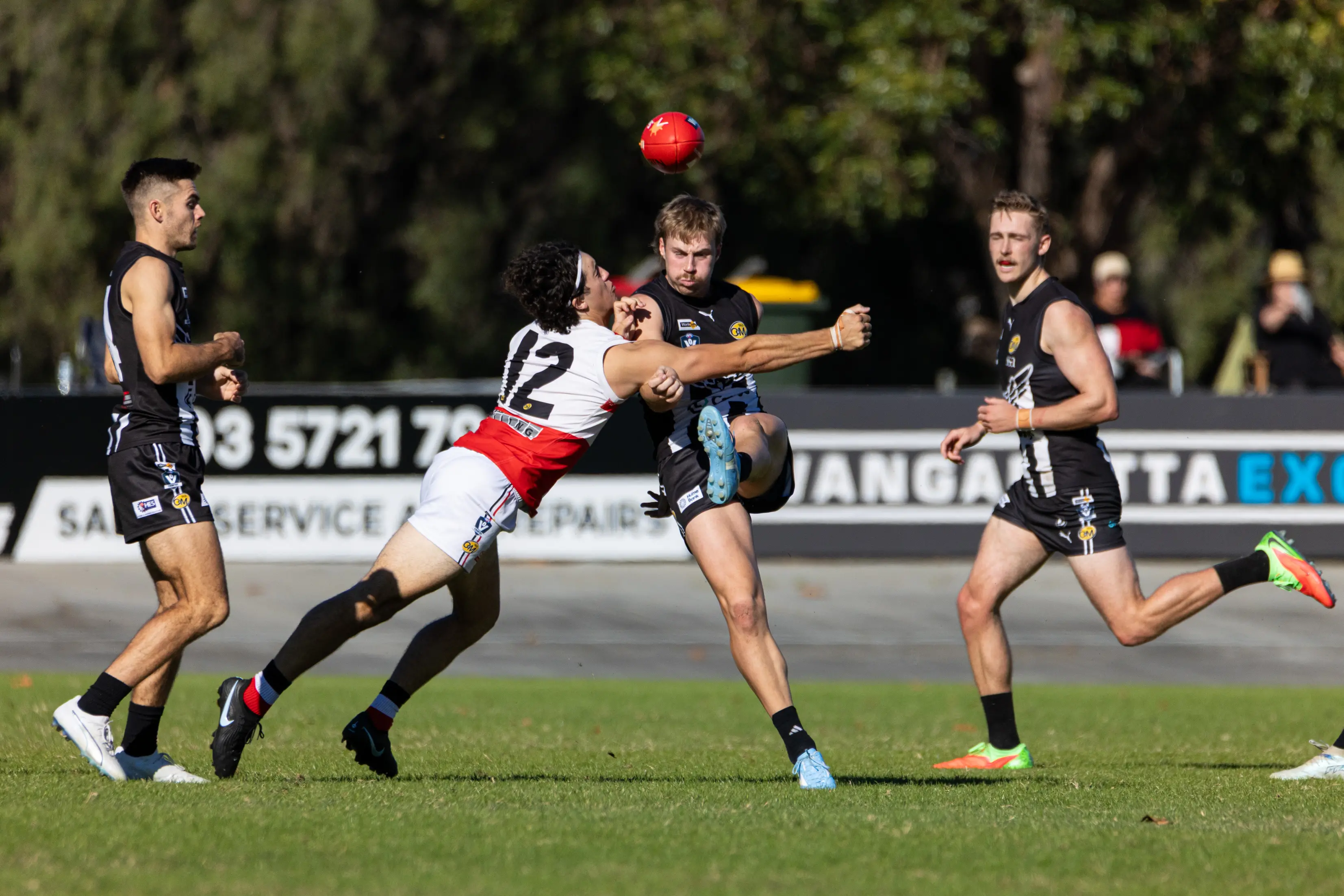 <p>PANTHER HUNT: Fraser Ellis and the Magpies host Lavington this Saturday in their last game before the interleague bye. PHOTO: Marc Bongers</p>\\n