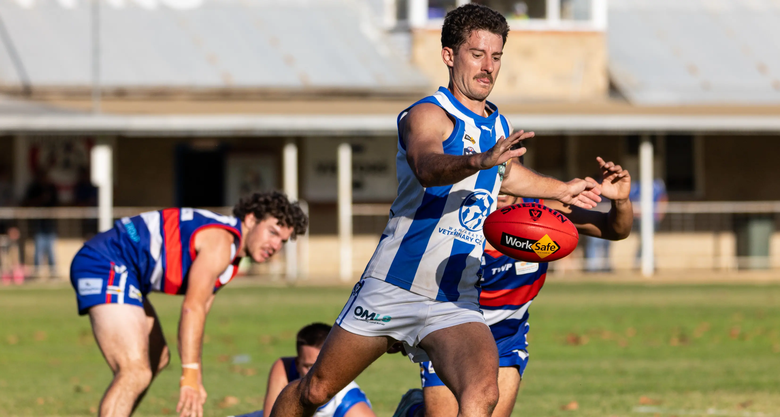 Valley do the deed over ‘Dogs