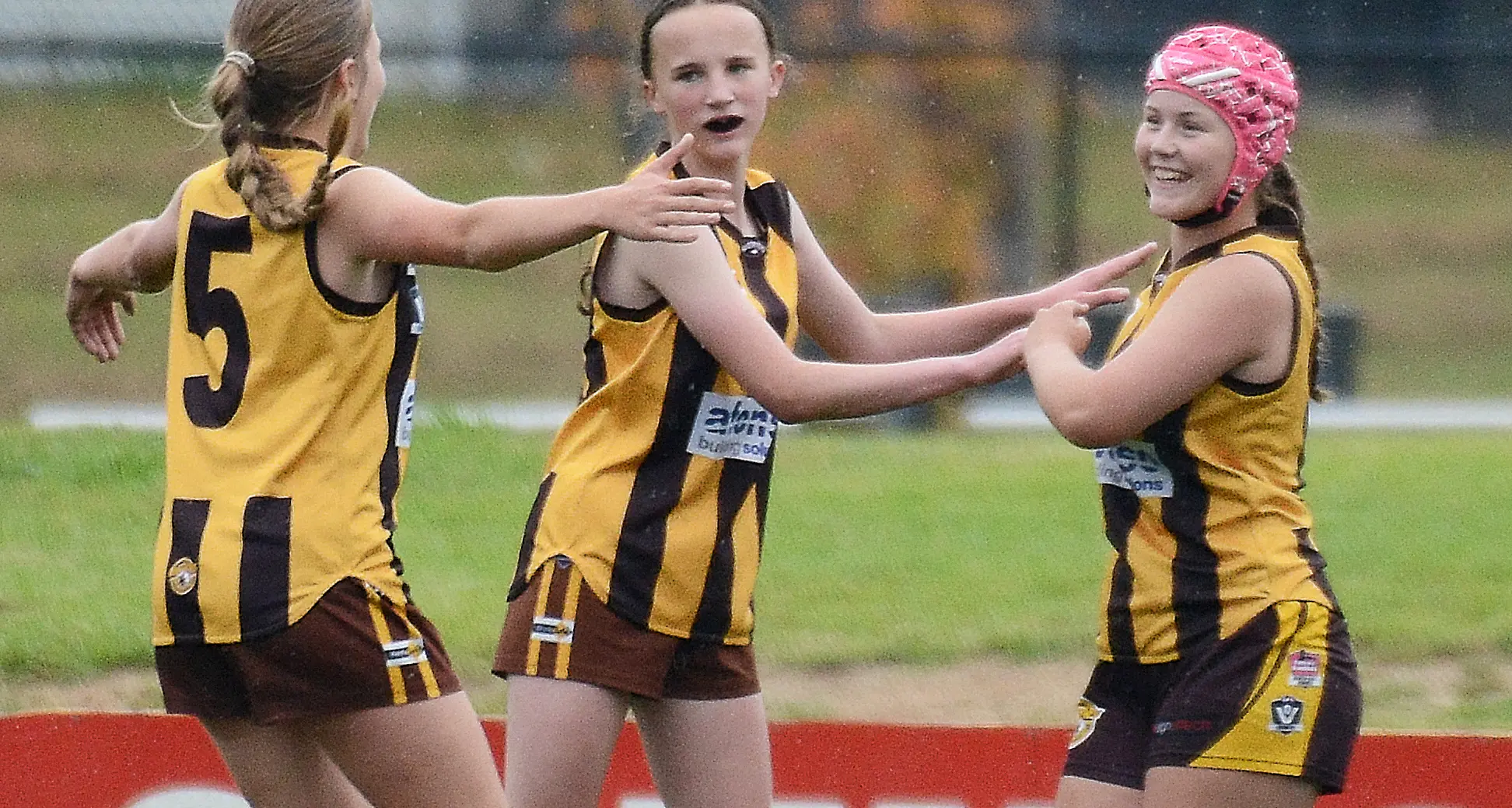 Hawks brave conditions against Raiders, Bulldogs