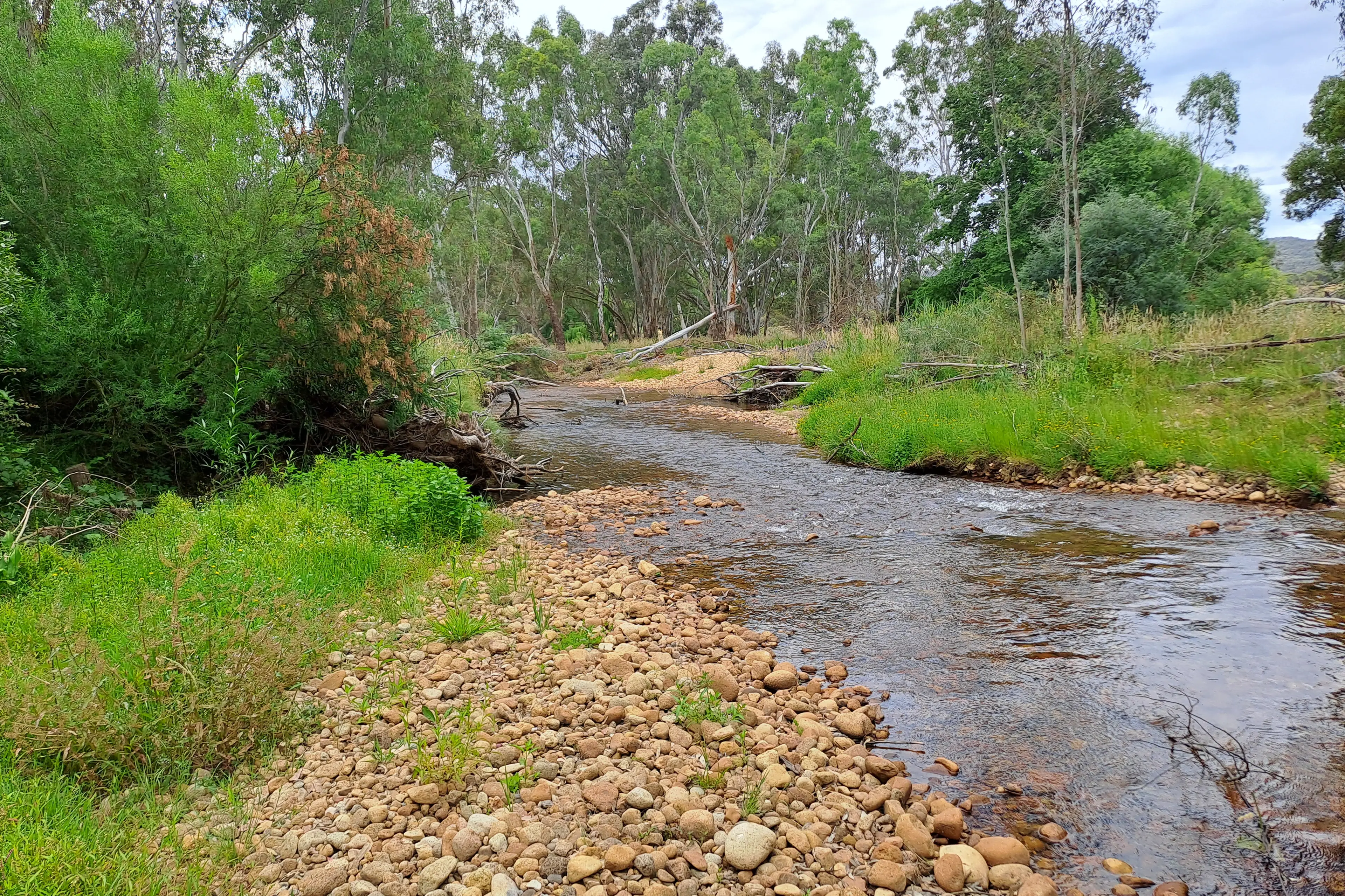 <p>PEACEFUL, NATURAL SETTING: This four bedroom home, shedding and productive farmland sits on 143 acres with King River frontage.</p>\\n